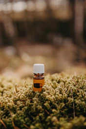 A sleek black dropper bottle of Neurobalance resting on a bed of moss with soft forest light filtering through leaves.