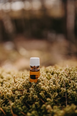 A serene outdoor scene featuring a small glass bottle of fragrance nestled among wildflowers and moss.