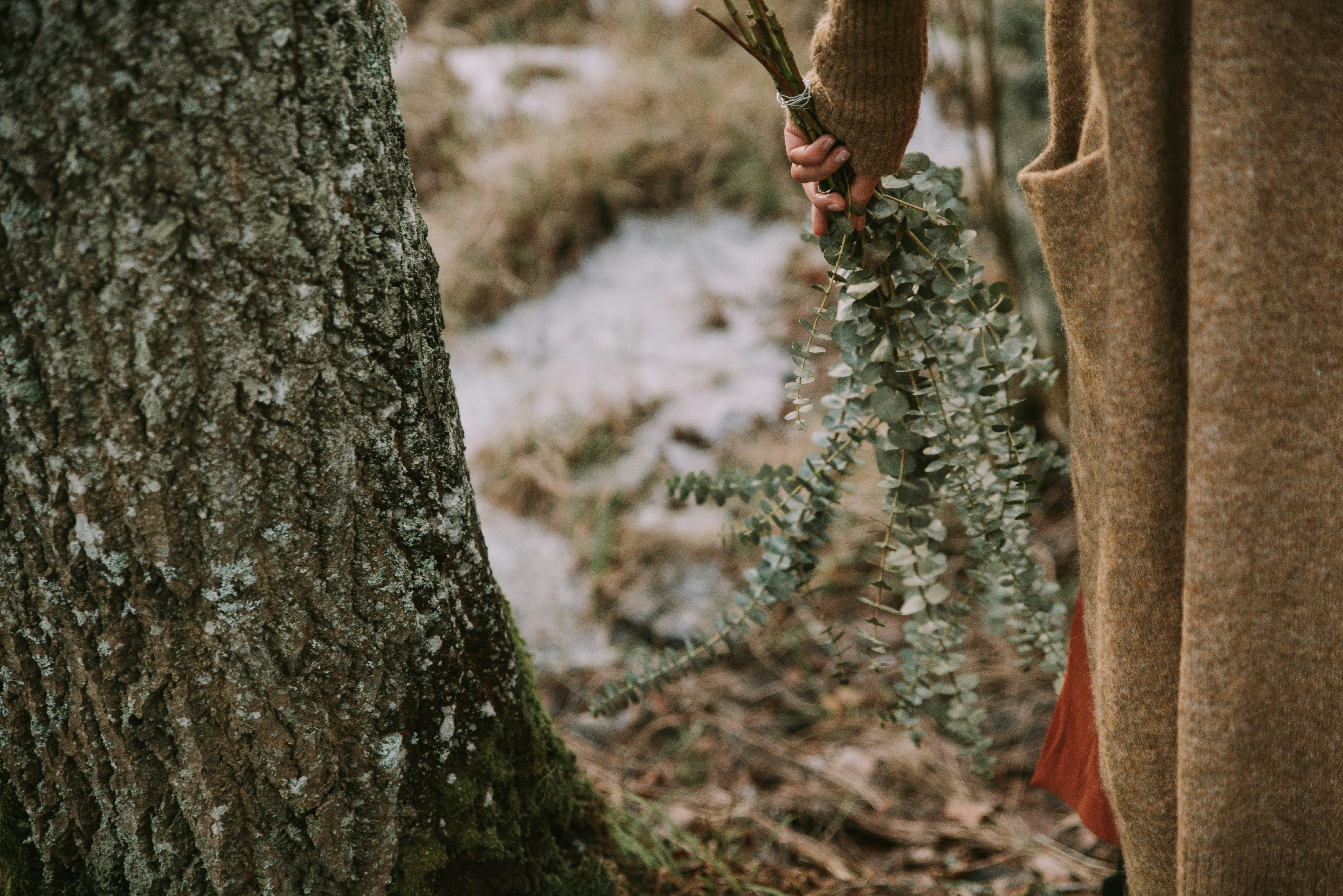 Photo by anitaaustvika