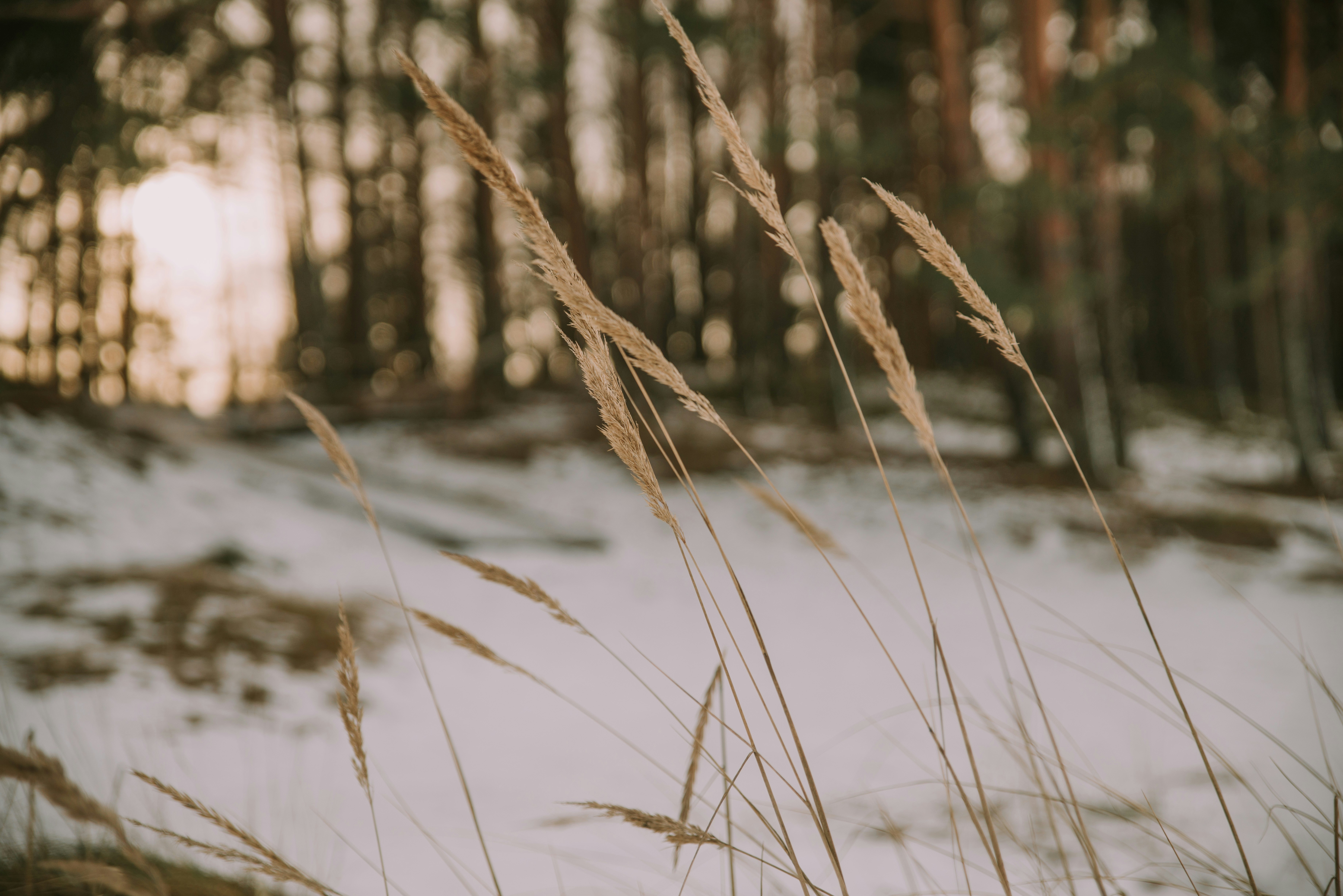 Photo by anitaaustvika