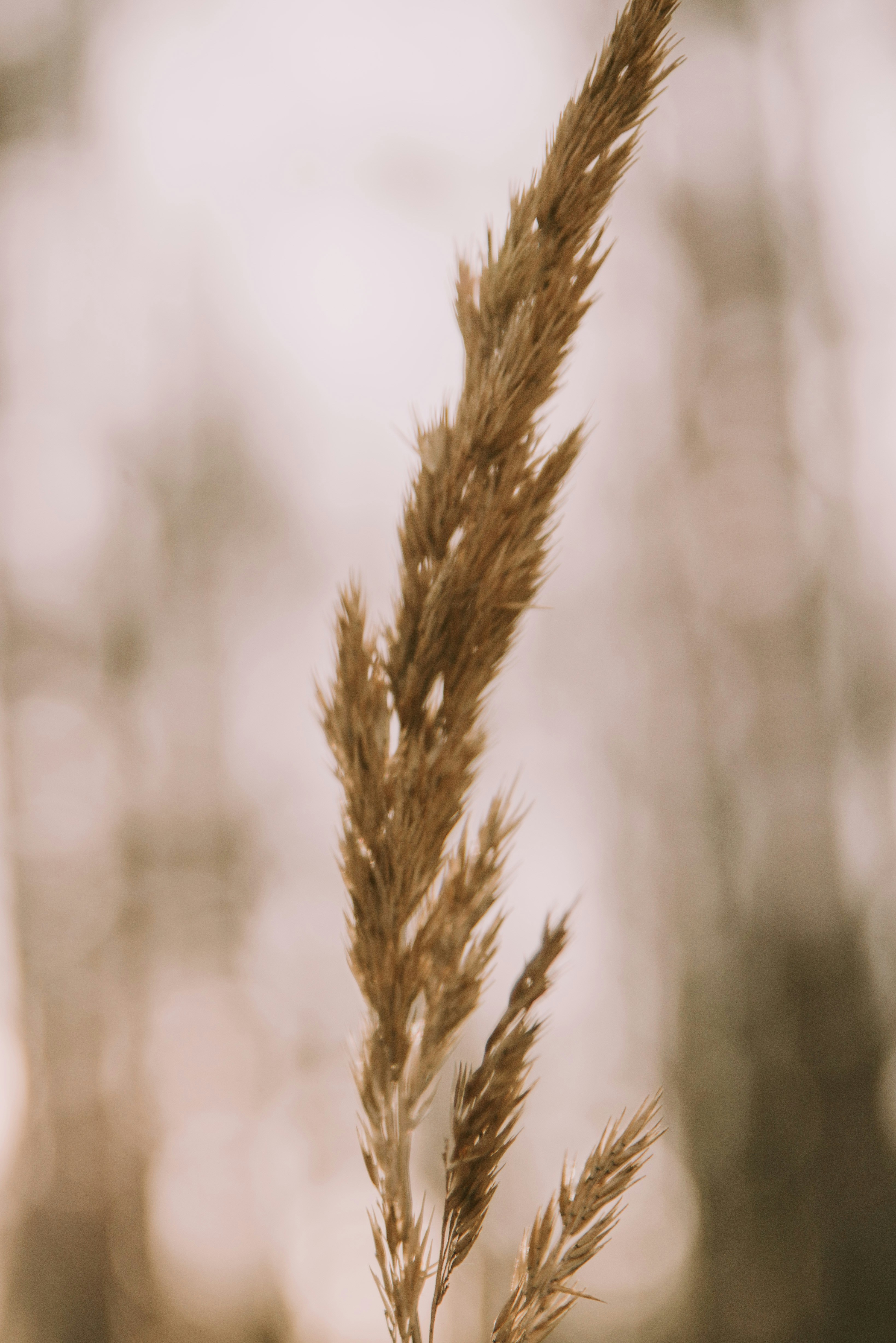 Photo by anitaaustvika