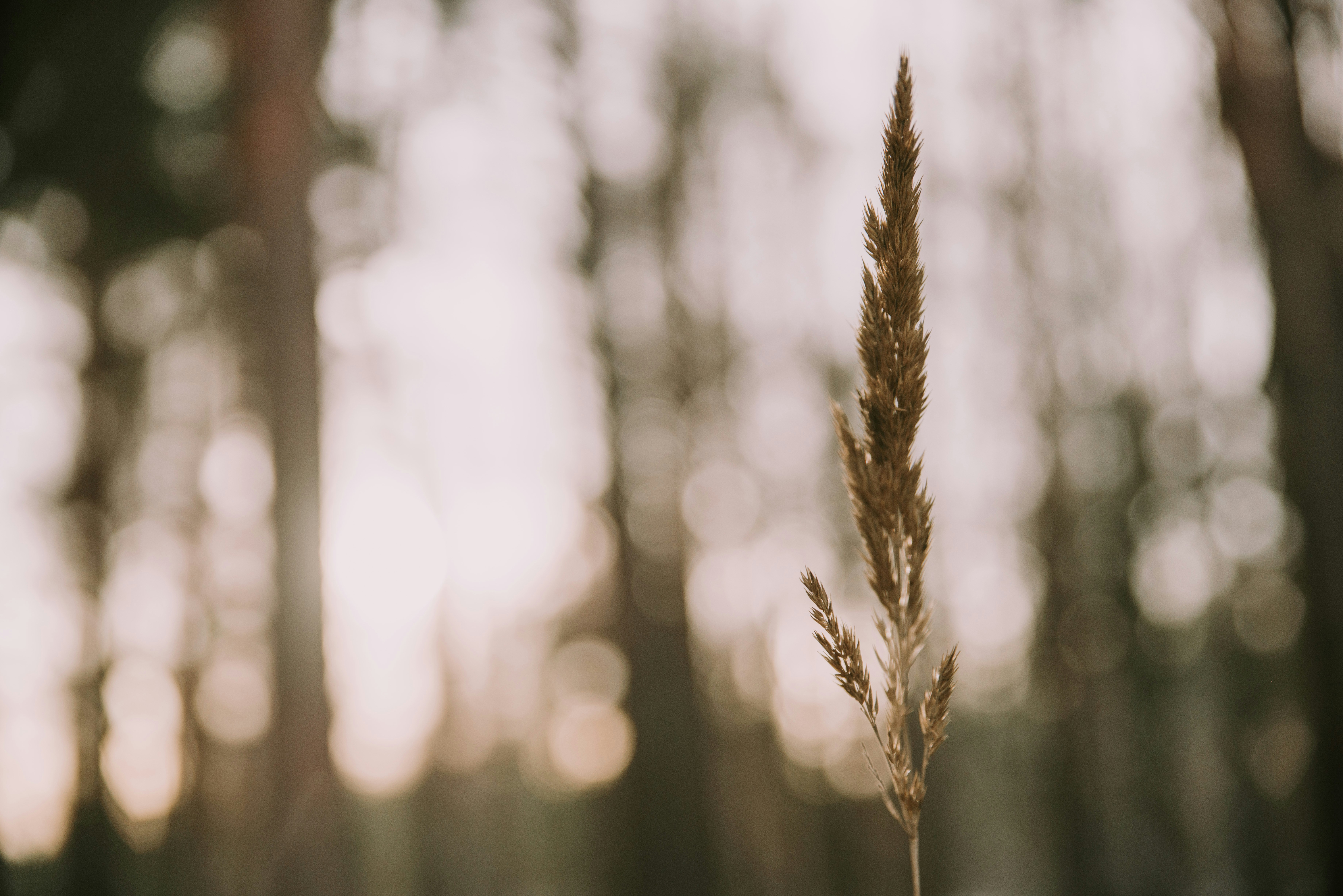 Photo by anitaaustvika