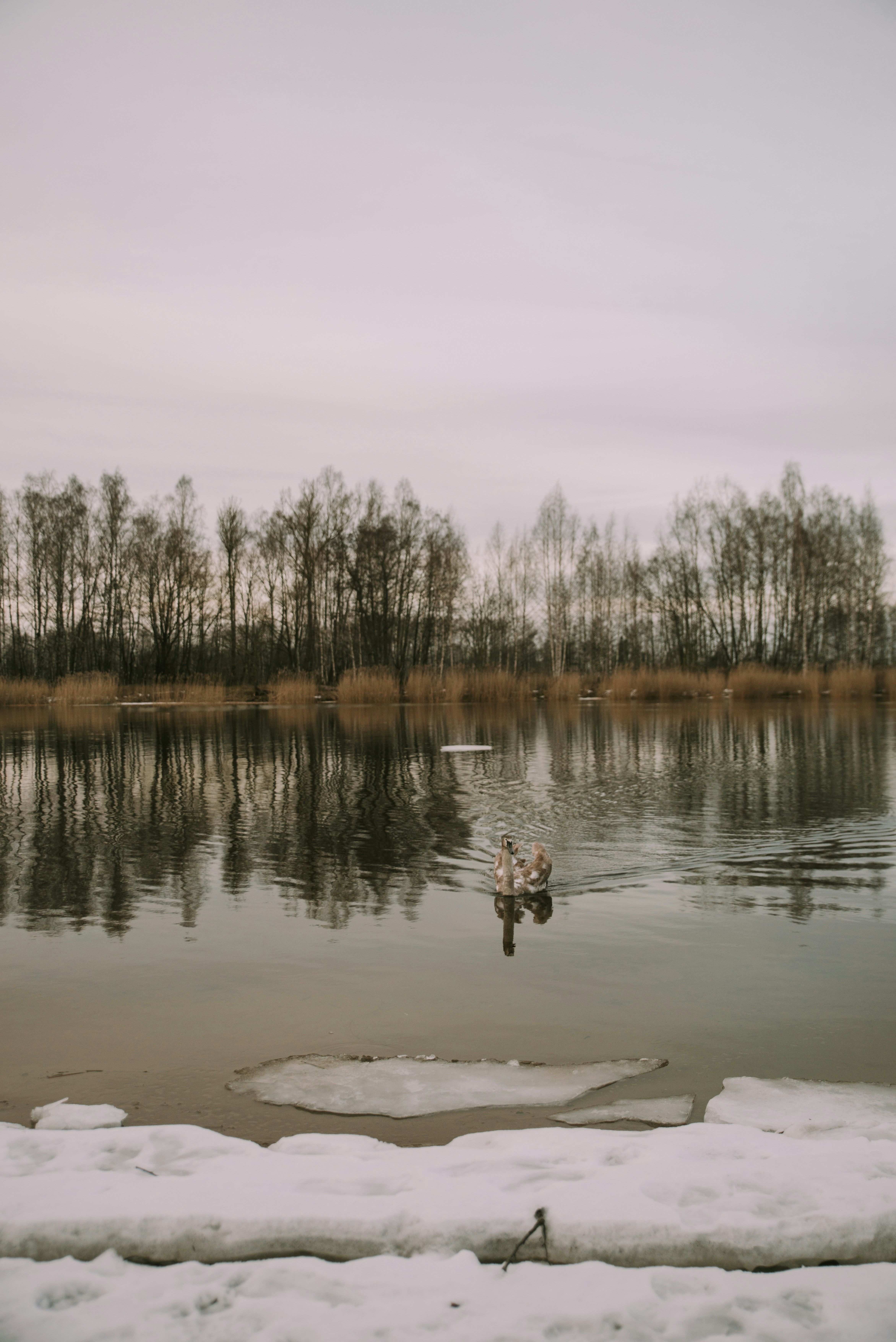 Photo by anitaaustvika