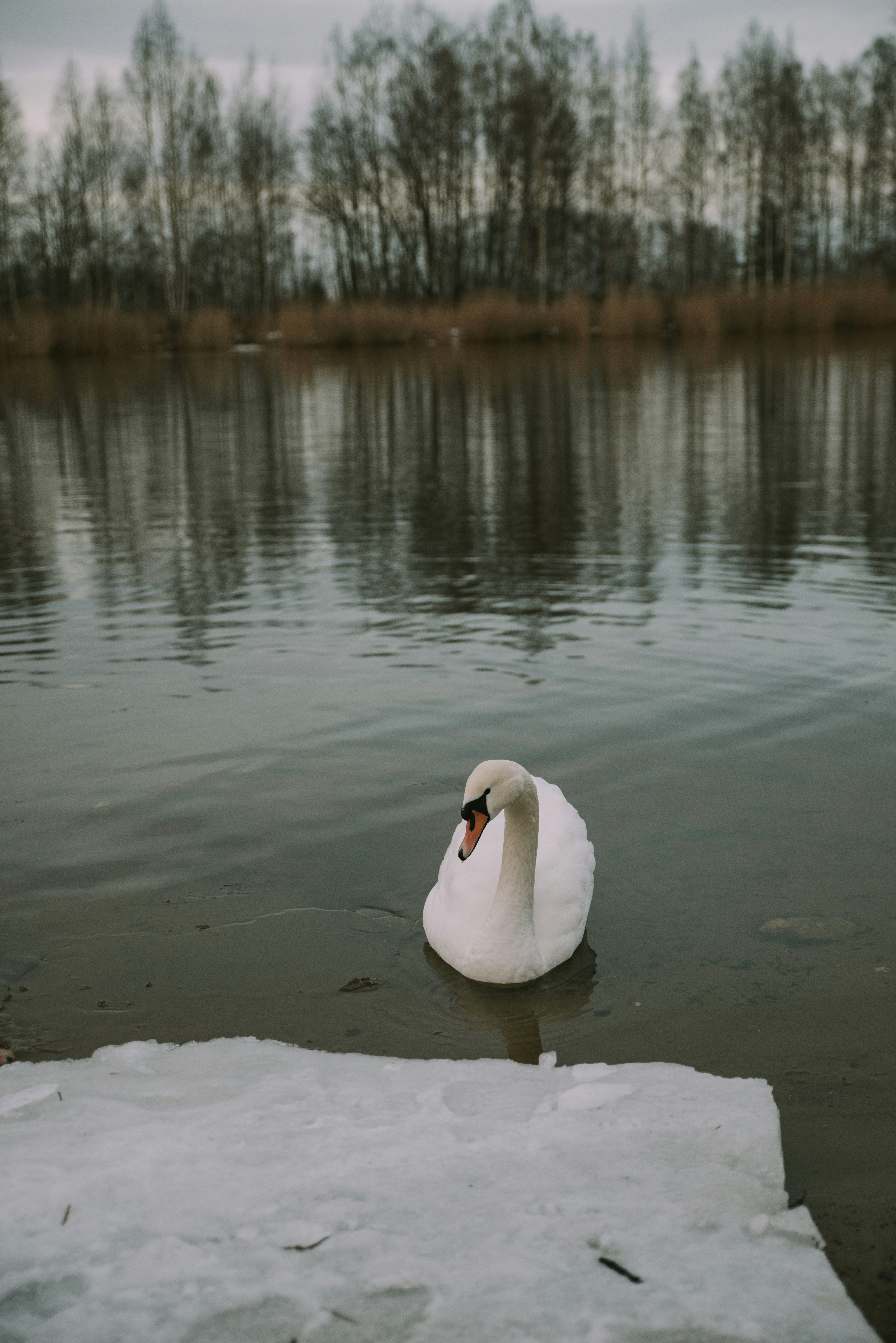 Photo by anitaaustvika