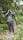 A person standing on a dirt trail in a dense forest. They are equipped with hiking gear, including a vest with multiple pockets, long pants, gaiters, and a hat. The individual is holding a camera up to their face, seemingly taking a photograph. The surrounding area is lush and green with various types of vegetation, including large banana leaves.
