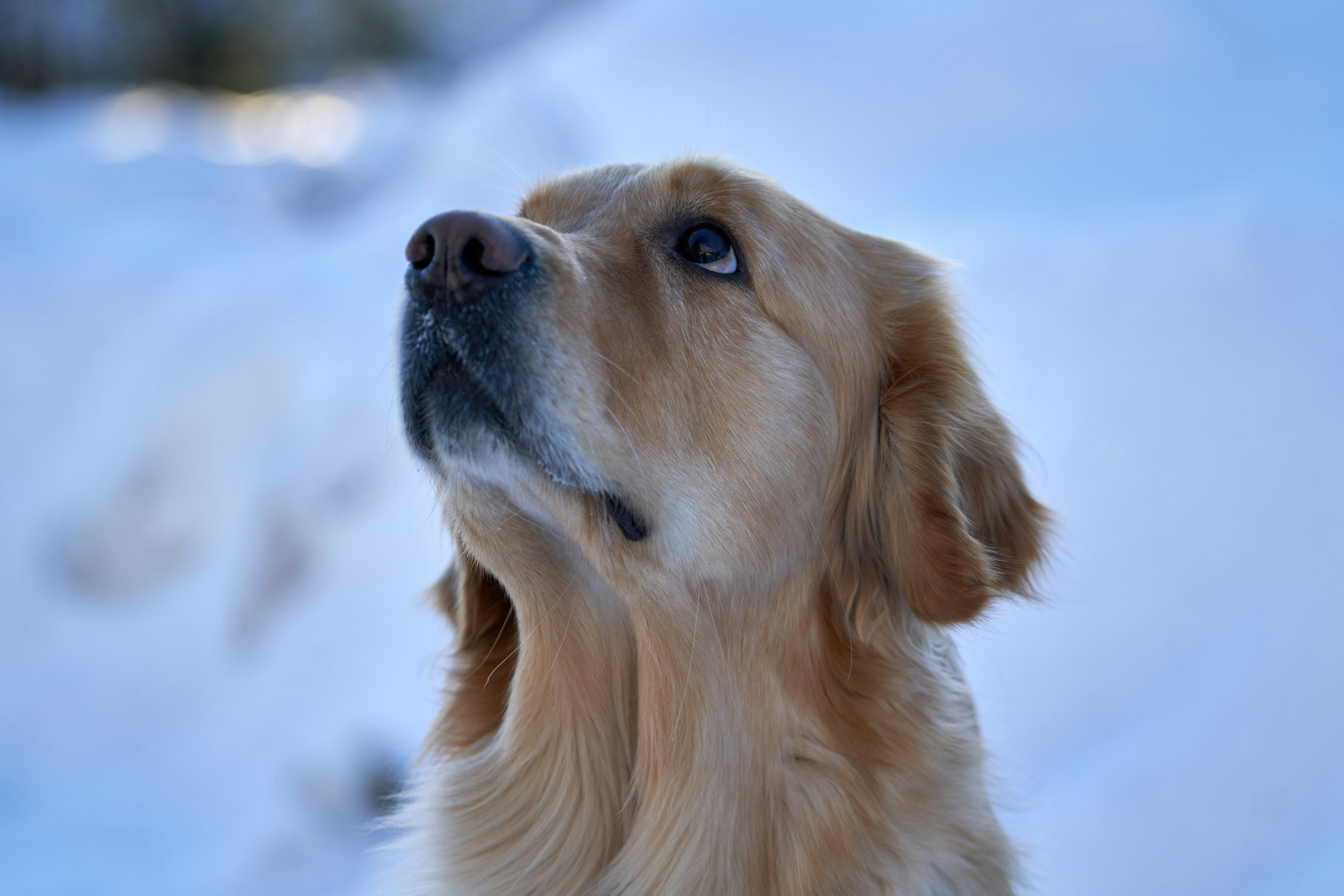 Photo by davotibarna