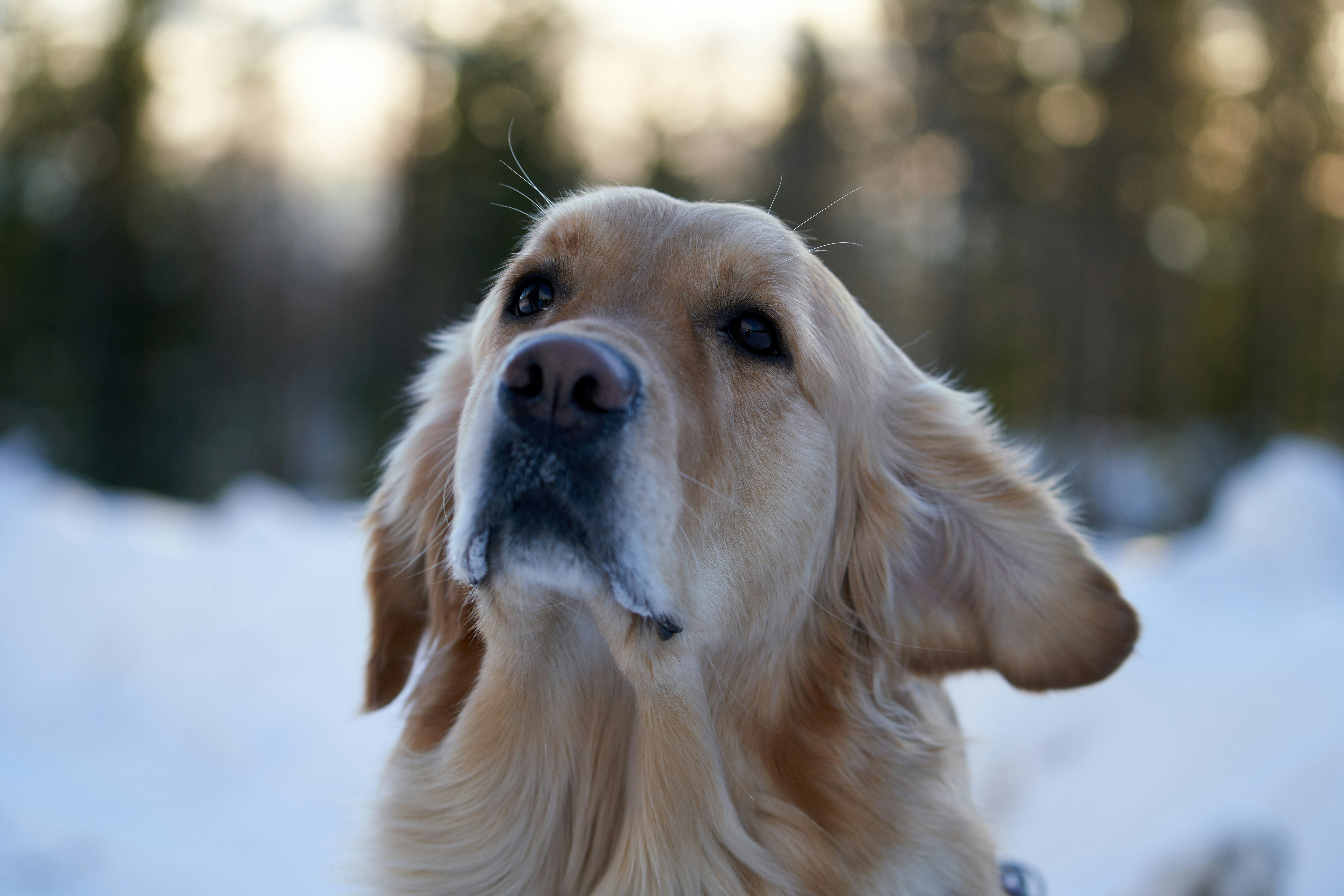 Photo by davotibarna