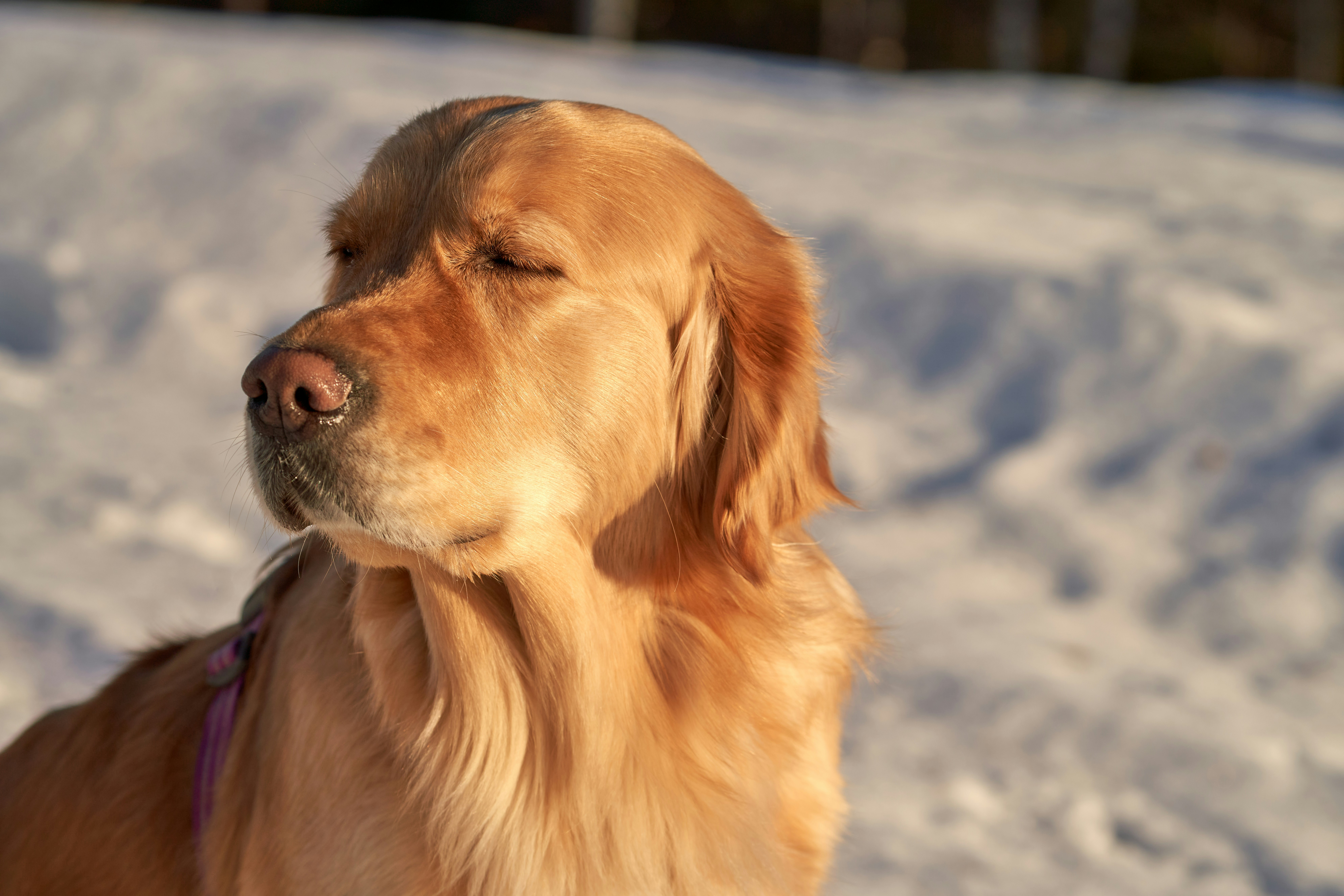 Photo by davotibarna