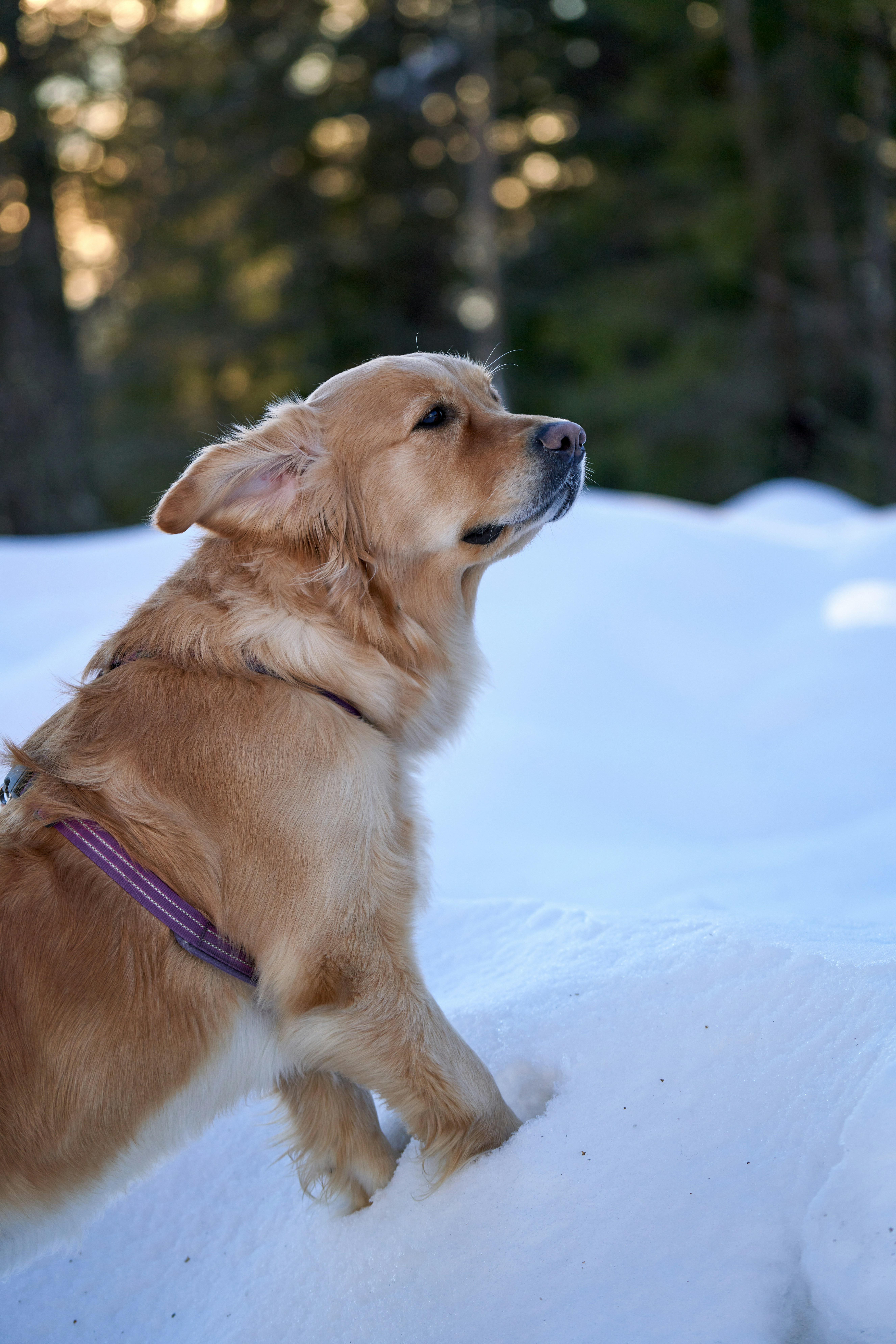 Photo by davotibarna