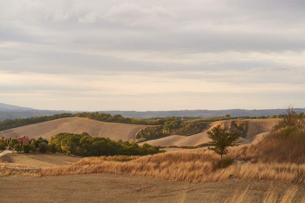 a view of a field with trees and hills in the background