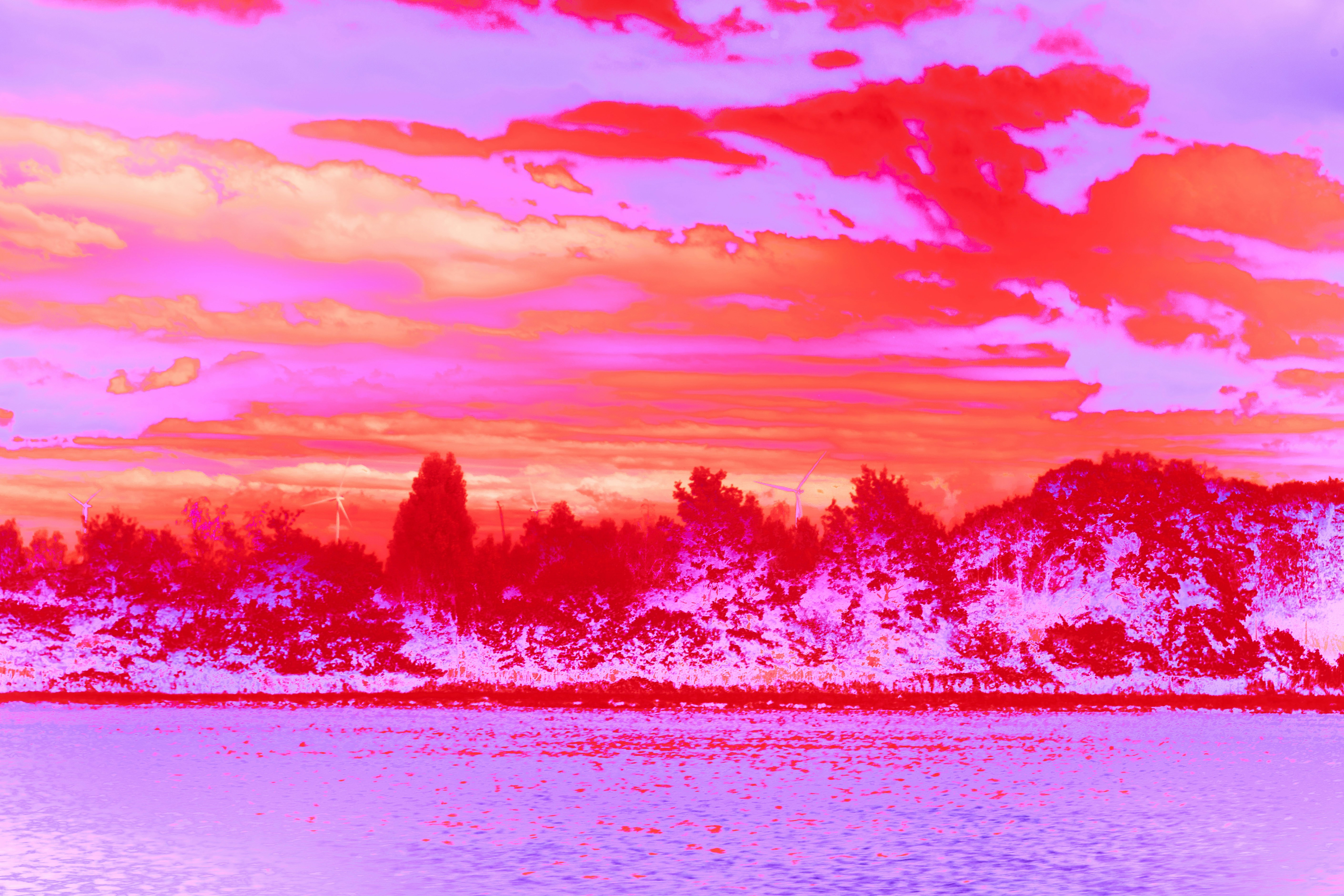 Photo by wolfgang_hasselmann