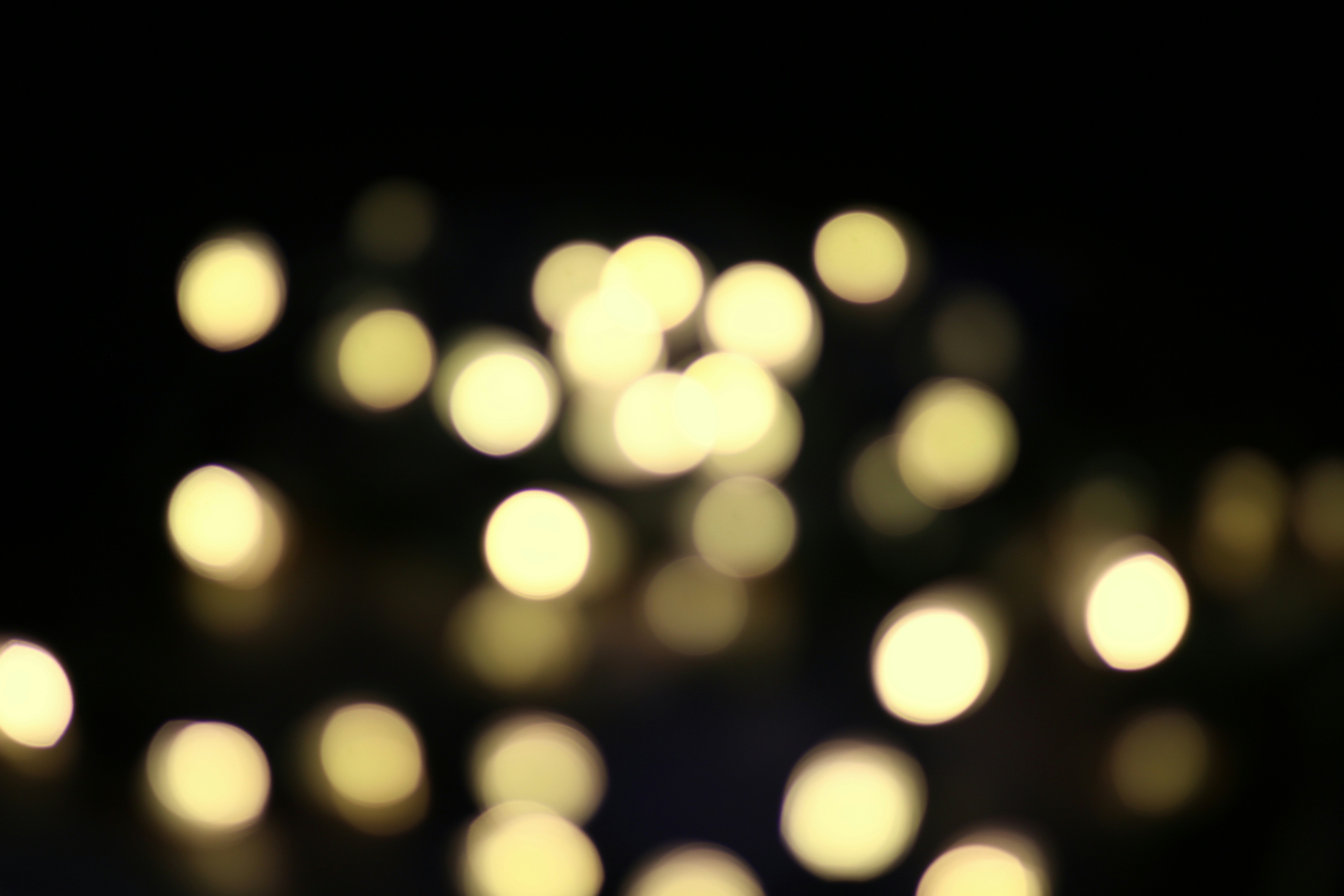 Photo by photo_tanbir