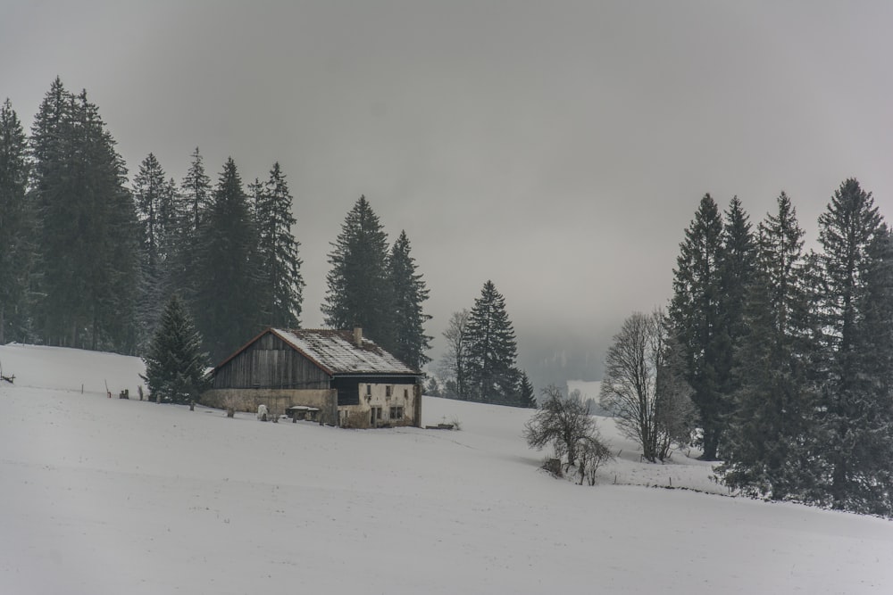 Une maison au milieu d’un champ enneigé