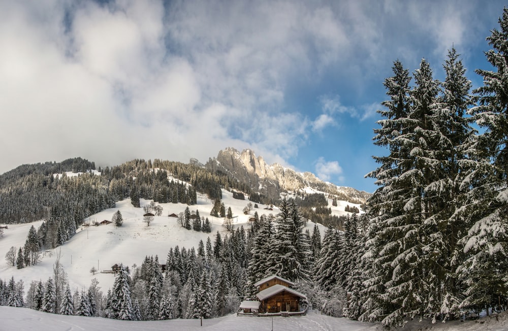 a snow covered mountain with a cabin in the foreground