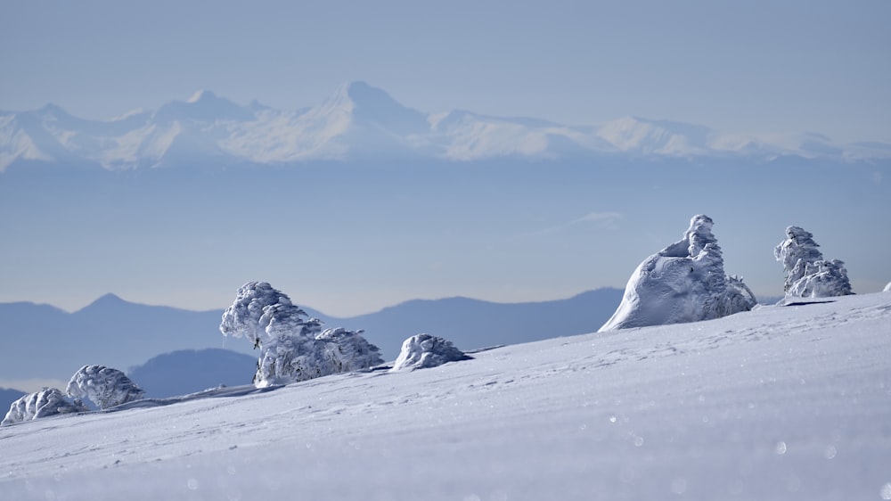 a group of snow covered trees sitting on top of a snow covered slope