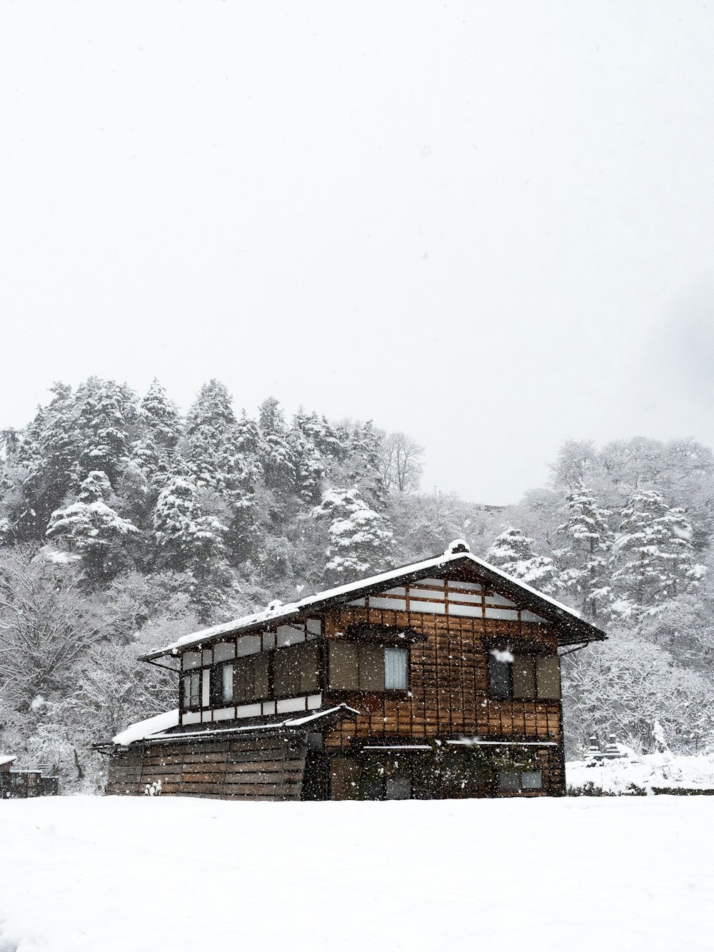 a cabin in the middle of a snowy field