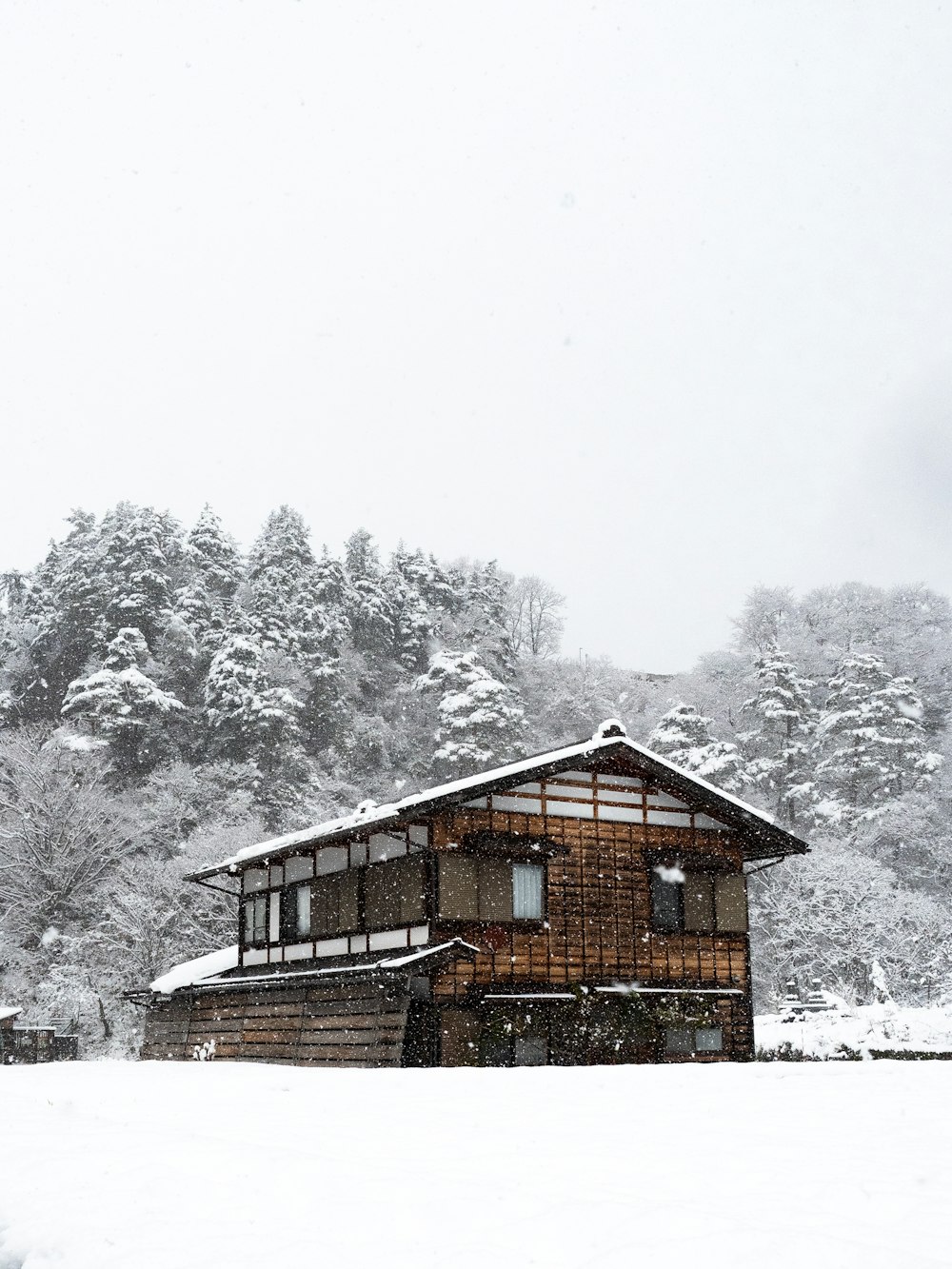 Una cabaña en medio de un campo nevado