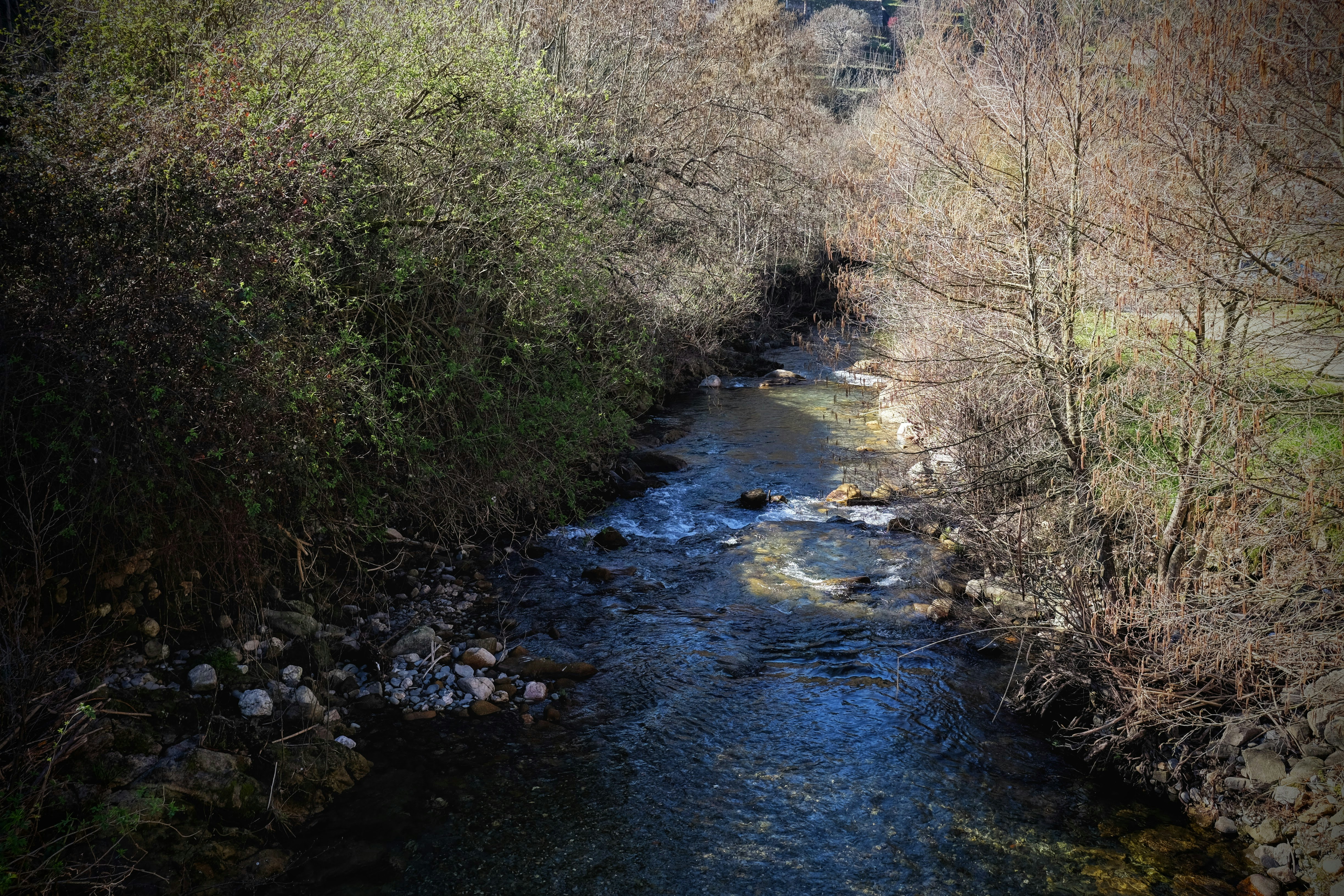 Photo by pauloalbertosilva