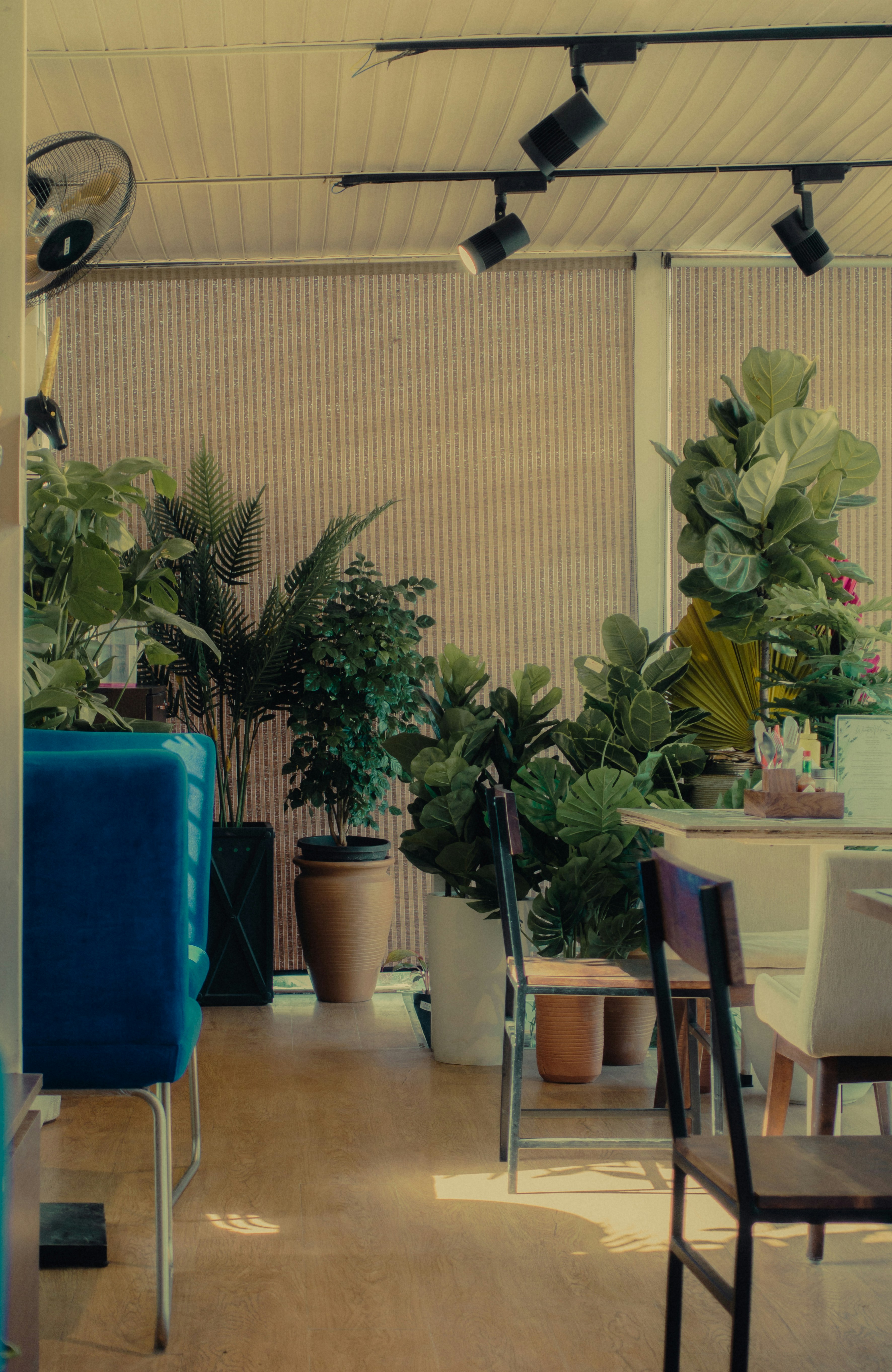 Photo by pramodtiwari