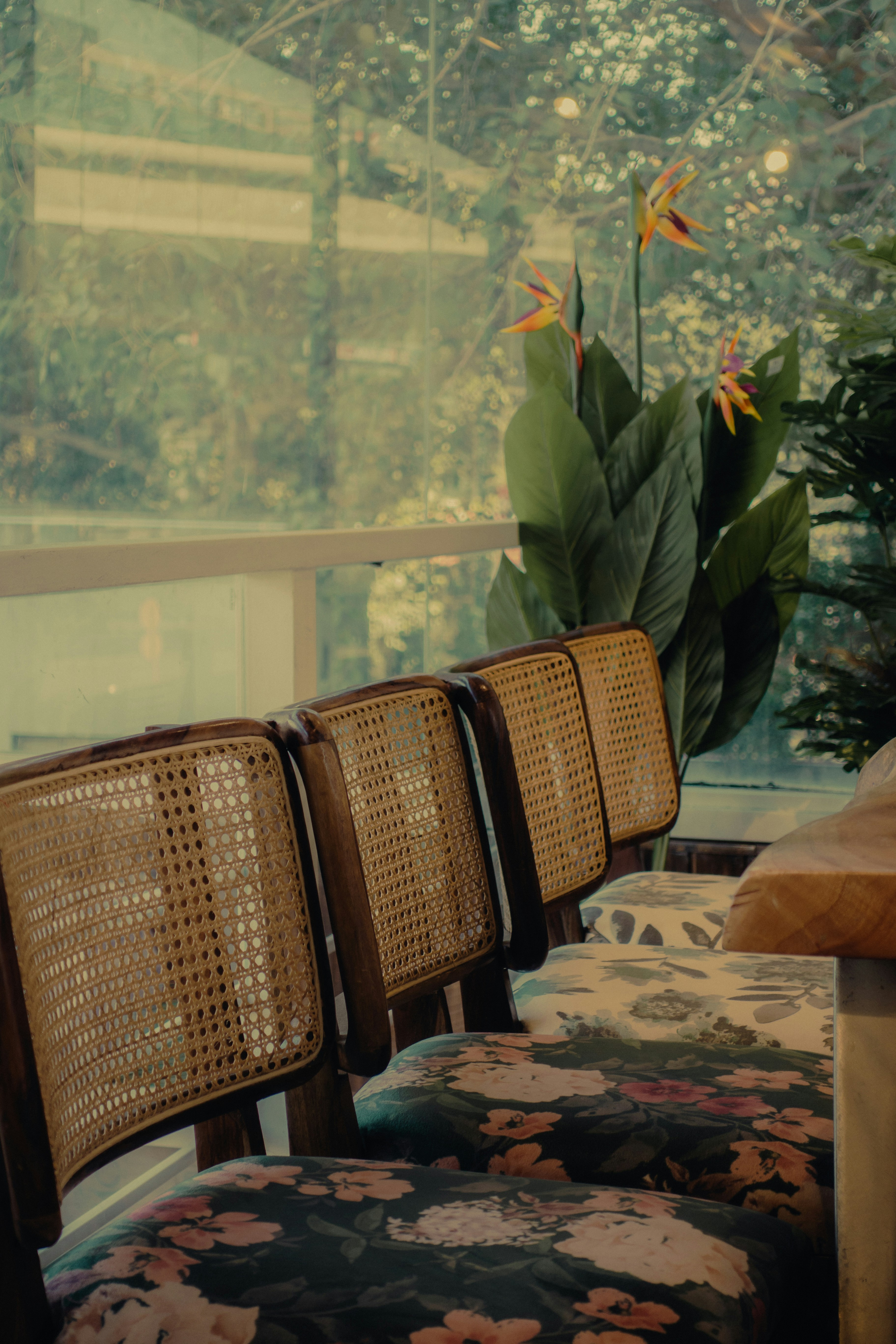 Photo by pramodtiwari