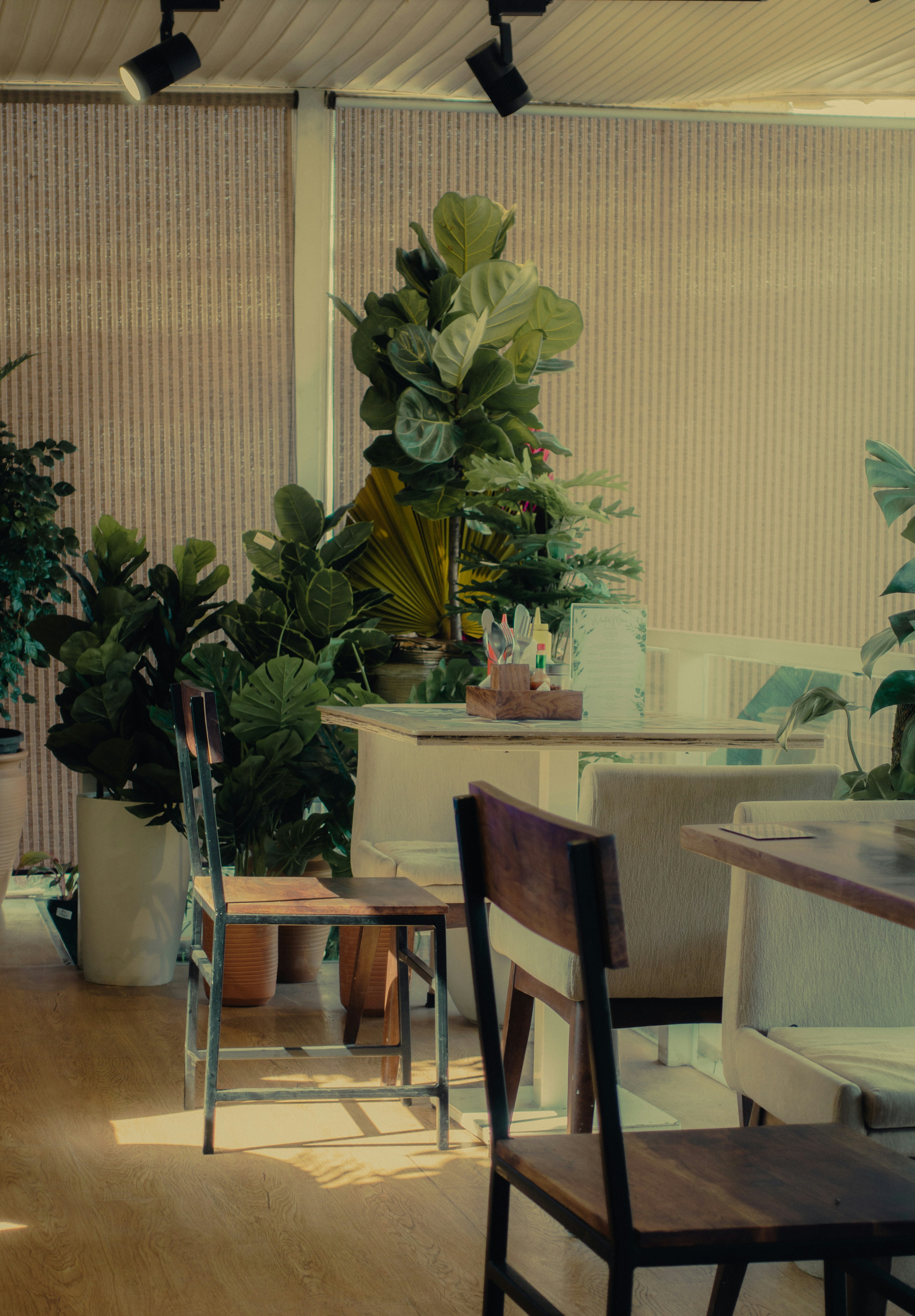 Photo by pramodtiwari