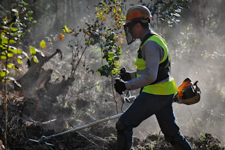 A rugged VA Excavation crew member operating a forestry mulcher amidst a dense thicket, sunlight filtering through the trees.