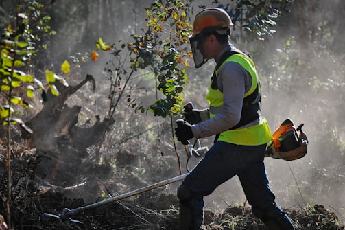 A worker wearing a hard hat and high-visibility vest operates machinery in a forested area. Surrounding foliage and branches are visible, with sunlight filtering through, creating a misty atmosphere.