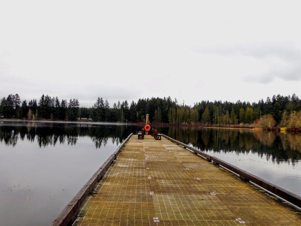 a wooden dock sitting on top of a lake next to a forest
