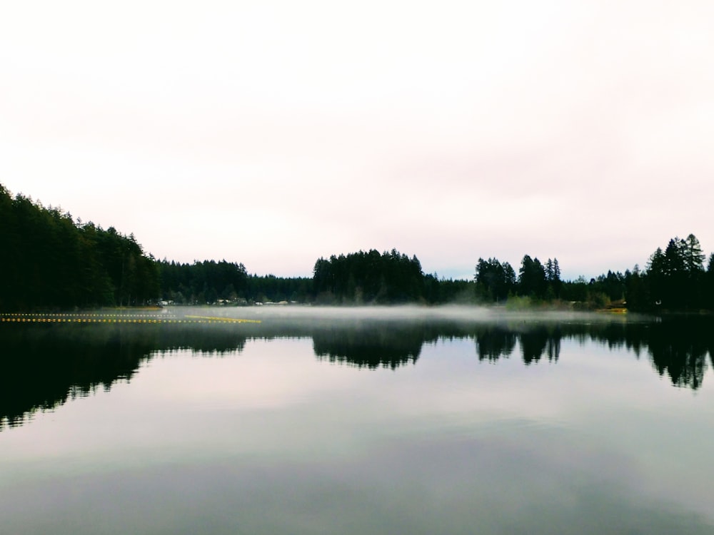 a body of water surrounded by trees on a cloudy day