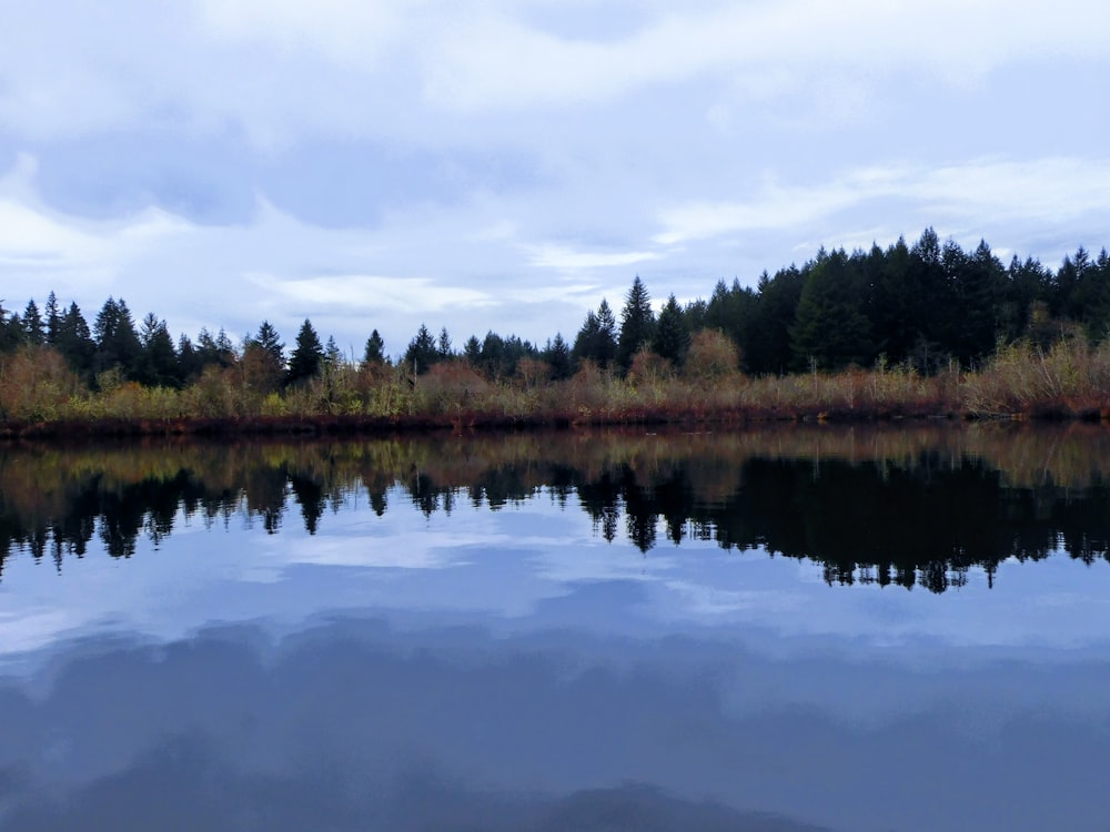 a body of water surrounded by trees and clouds