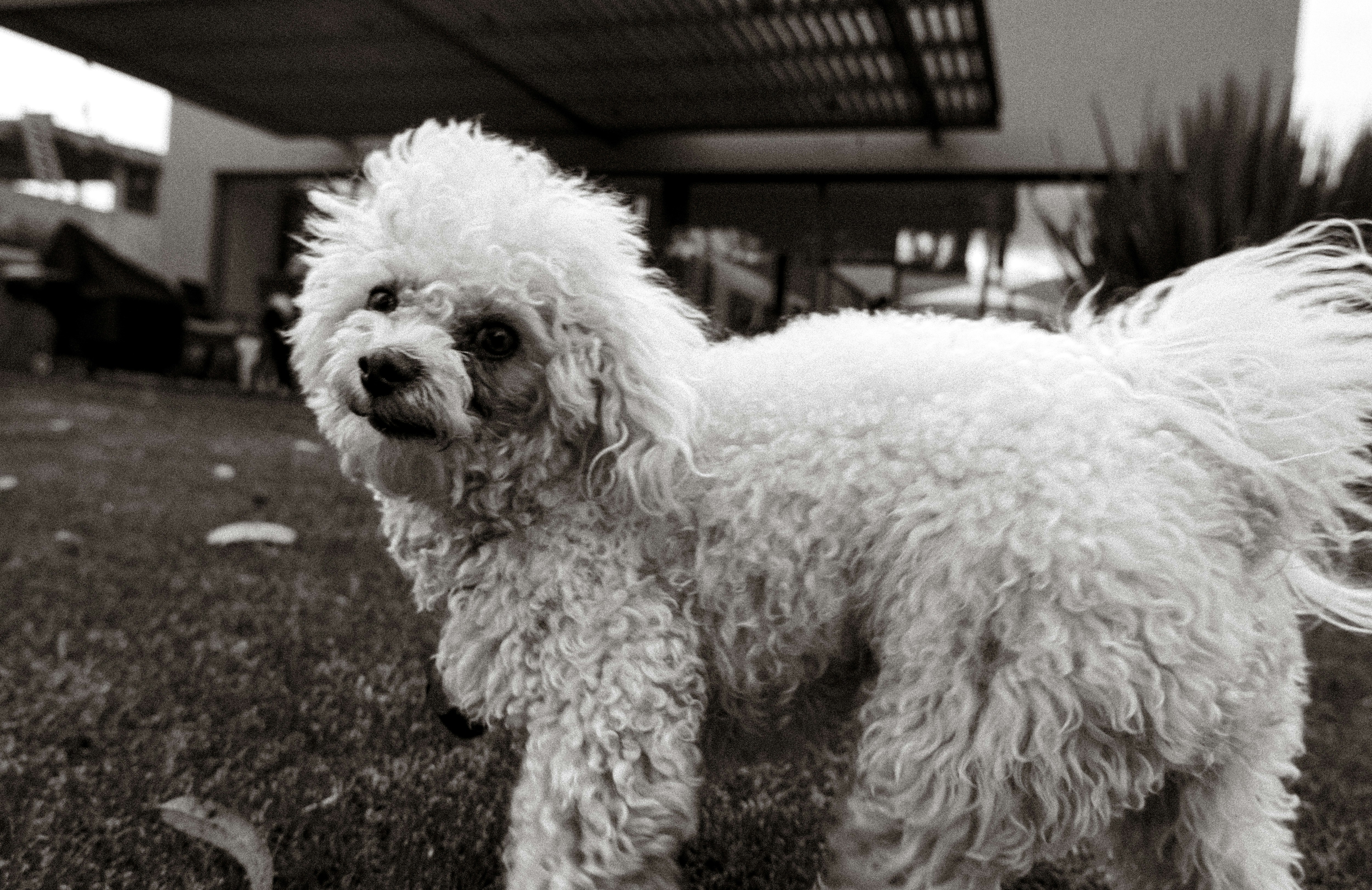 Photo by jamoandres2021