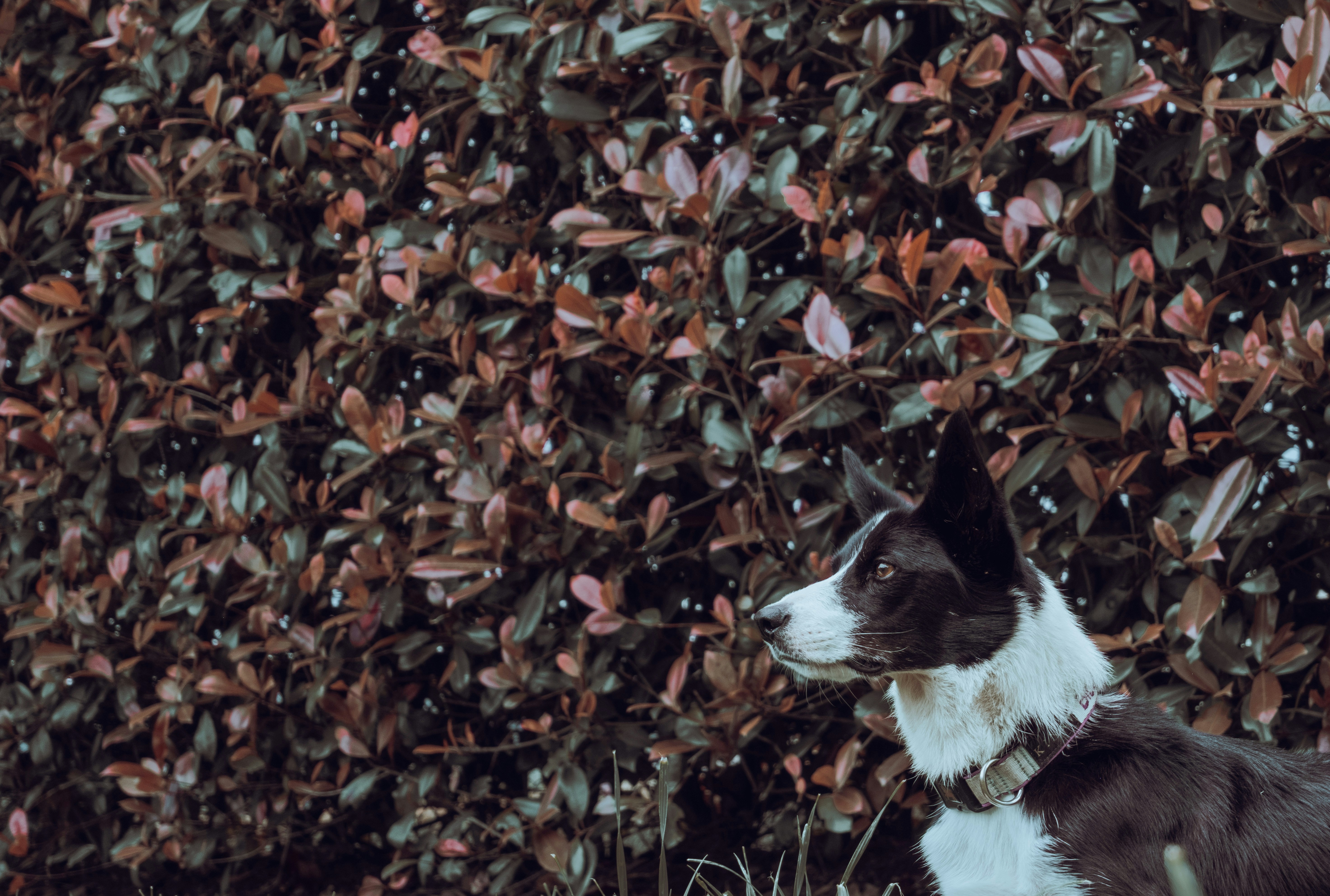 Photo by jamoandres2021