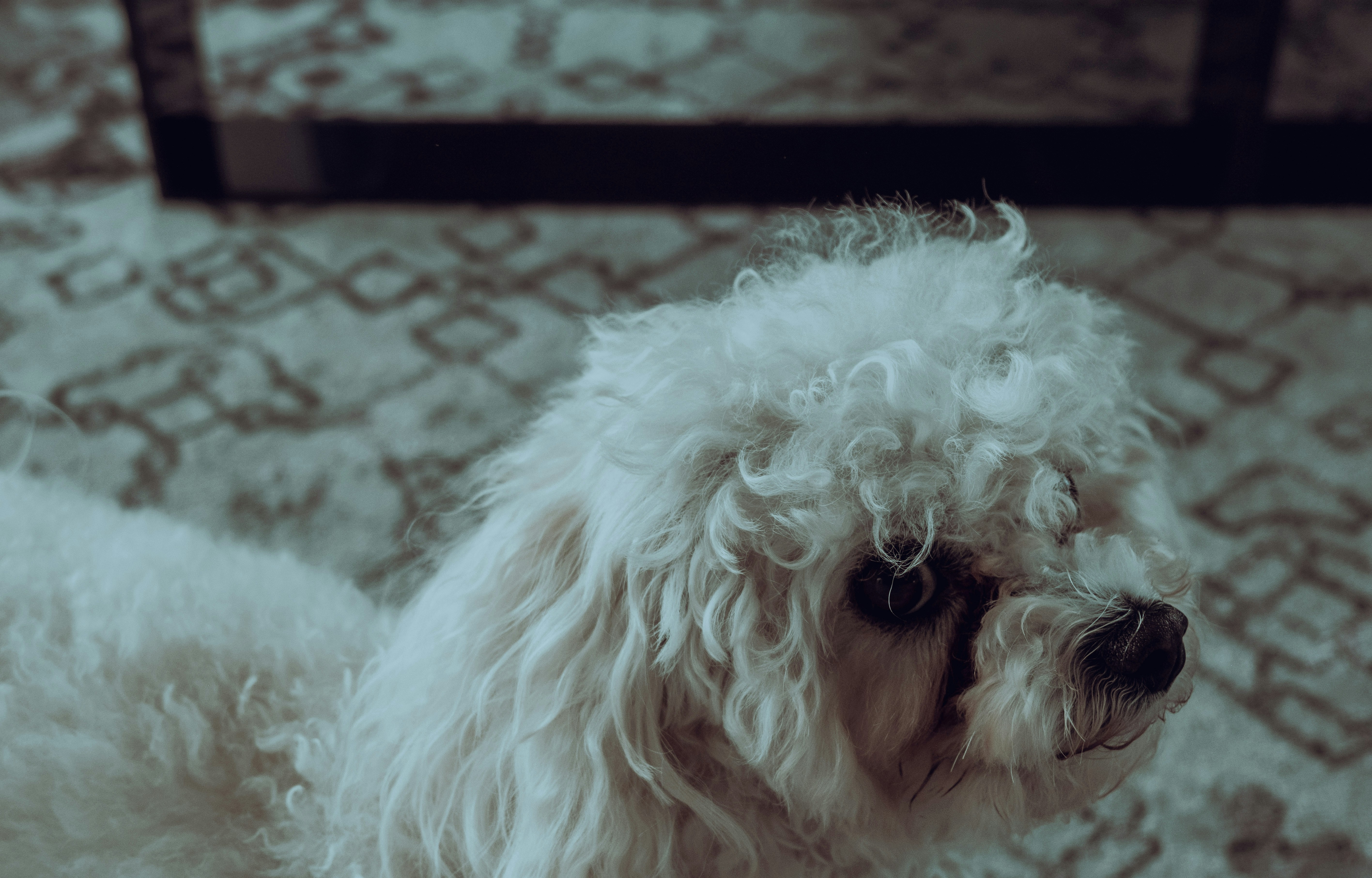 Photo by jamoandres2021