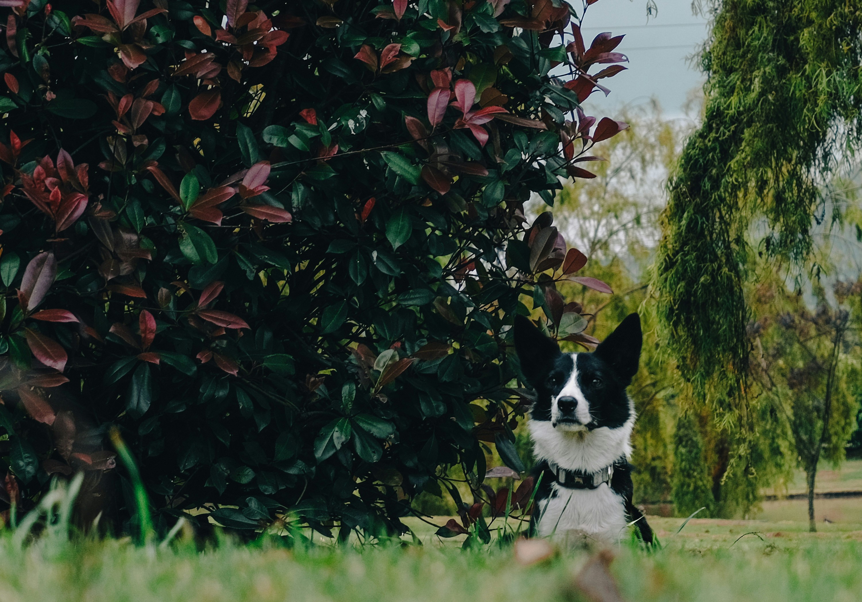 Photo by jamoandres2021