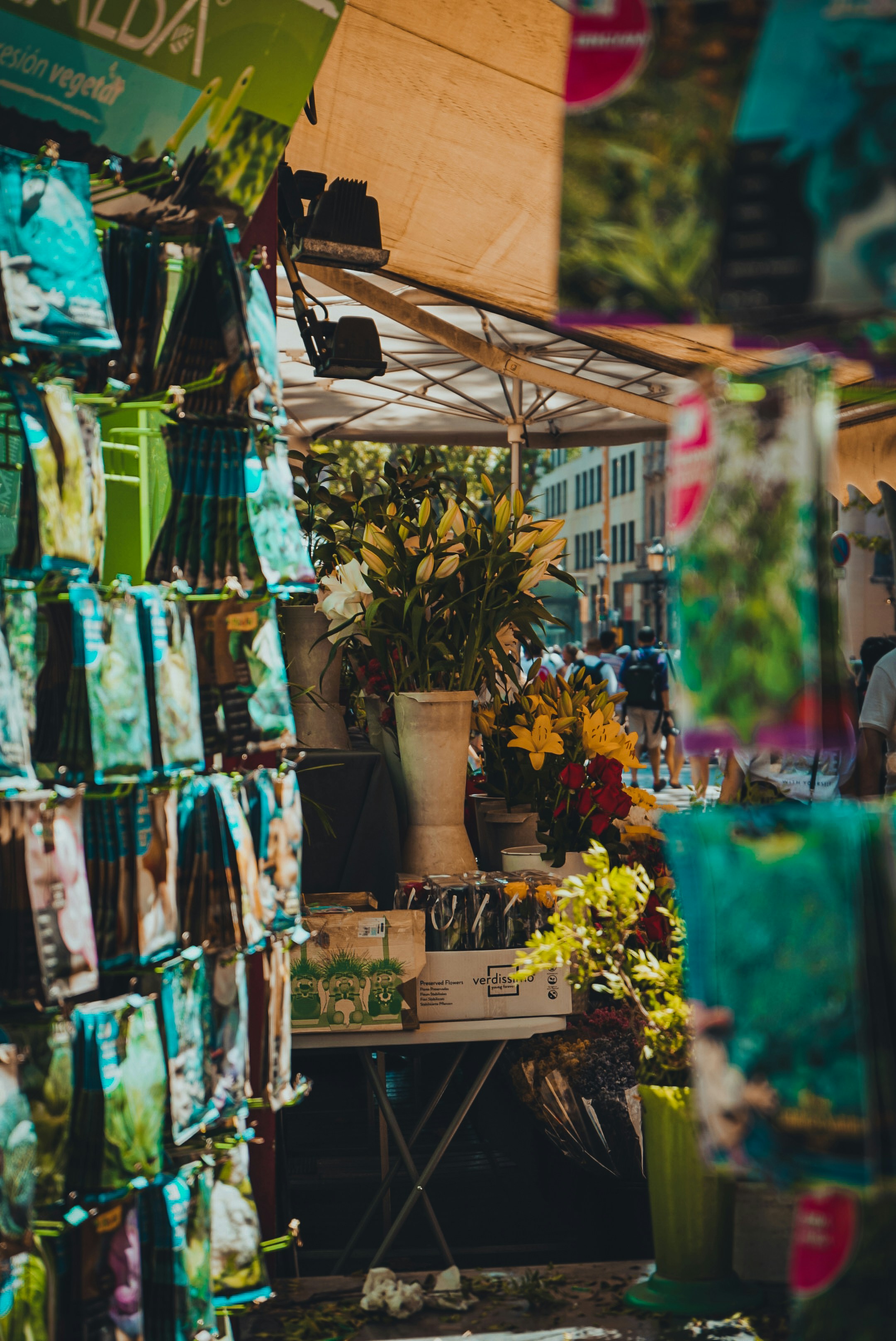 a bunch of plants that are on a stand