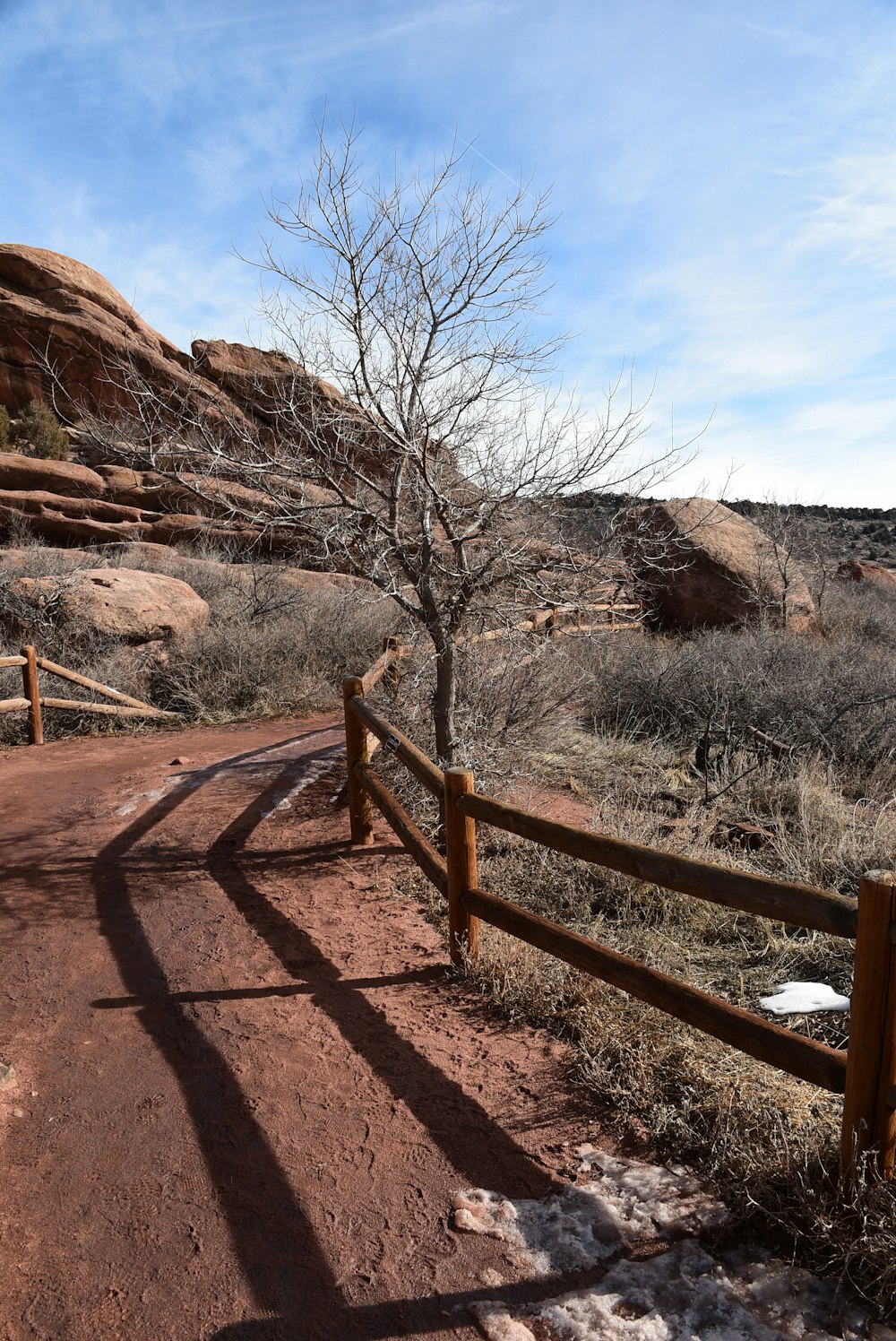 a dirt road with a wooden fence next to a tree