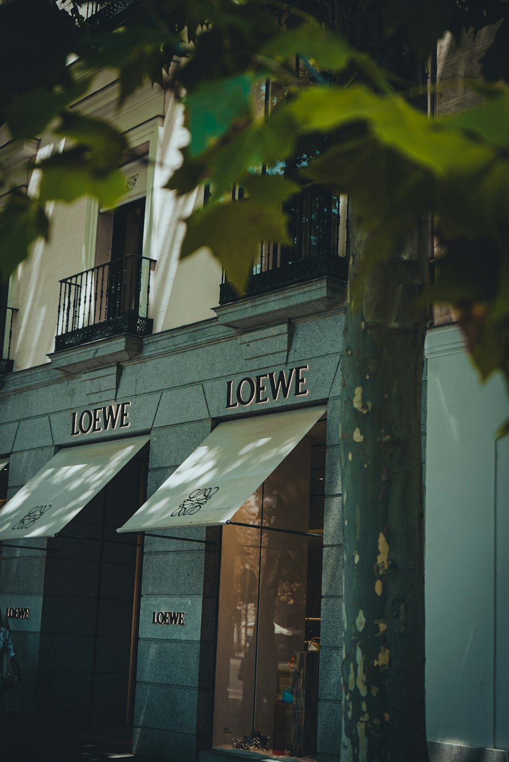 a store front with awnings and a tree in front of it