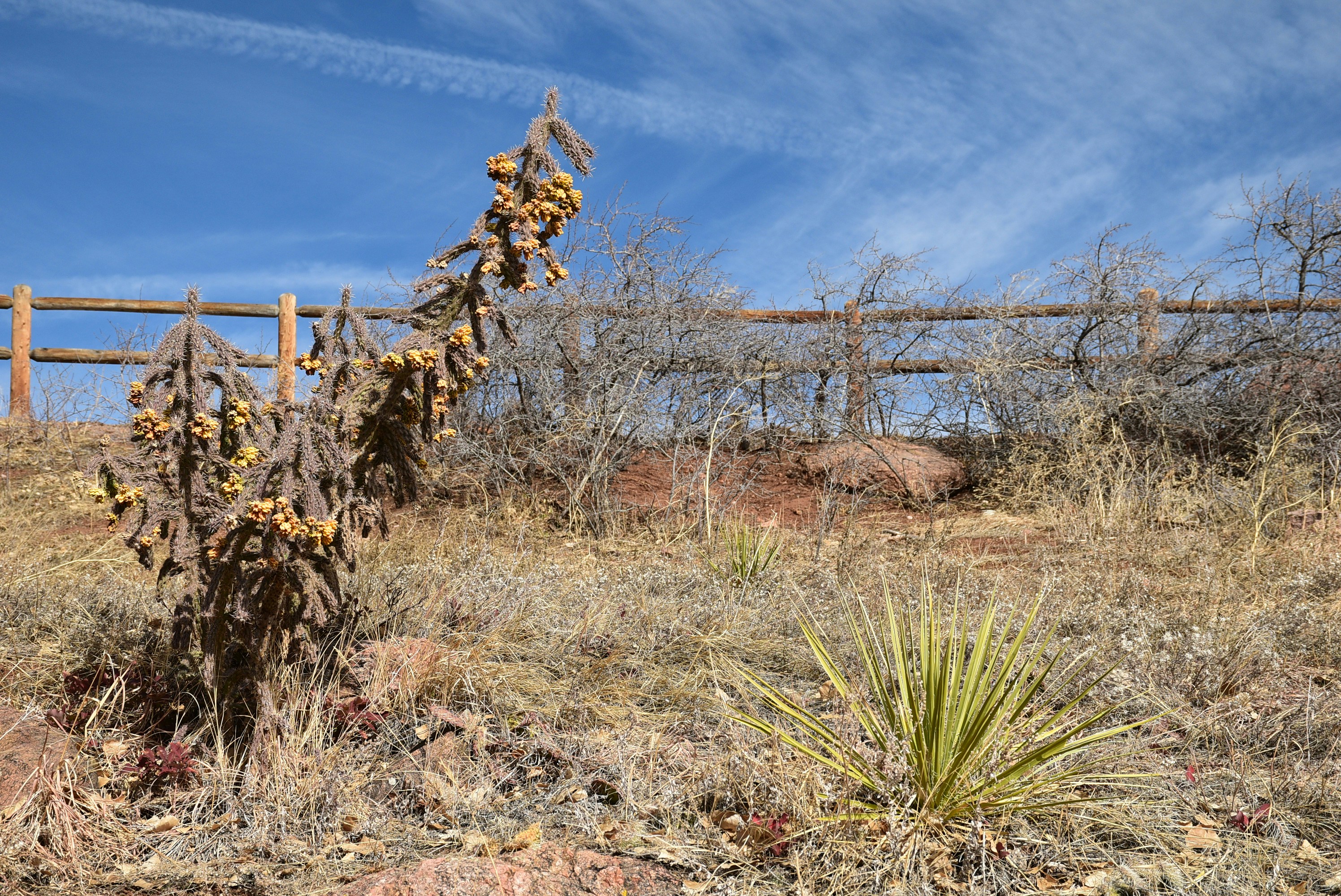 Graduation ceremony at Co-Op Academy