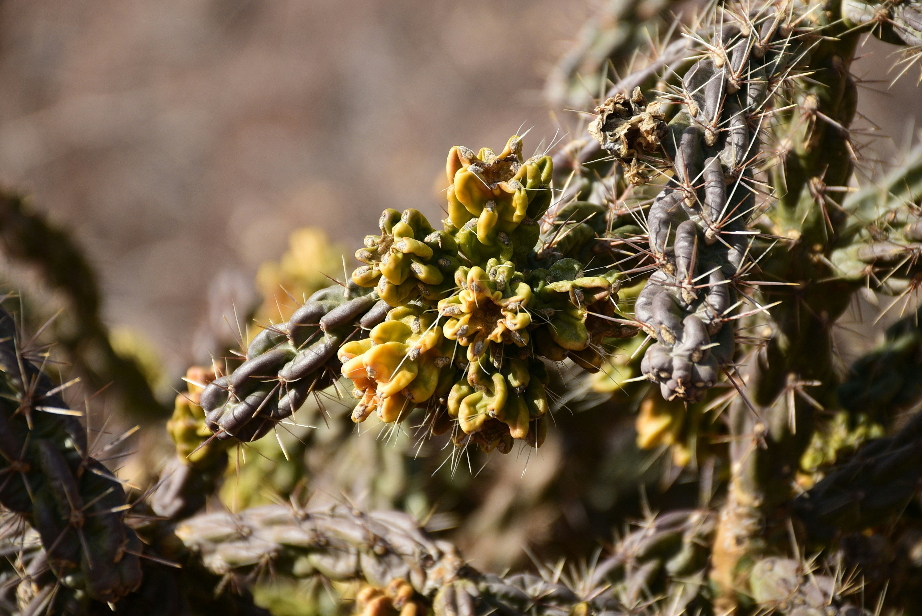 Unsplash 추천 이미지 (키워드 : Chemistry, molecule, atom, bond, electron, shell, sigma, pi, orbital, NO, CO, carbon monoxide )