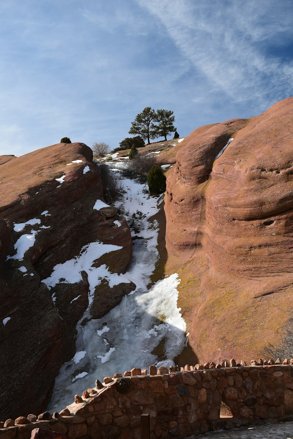 a rocky cliff with a small tree on top of it