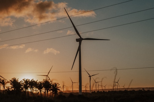 Several wind turbines stand tall against the backdrop of a sunset, with silhouettes of palm trees in the foreground. The sky shows a mix of warm golden and soft blue hues, marked by scattered clouds and crisscrossed power lines.