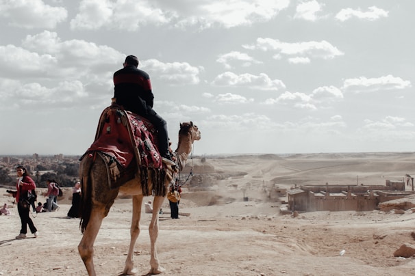 A person is riding a camel adorned with colorful blankets and decorations, overlooking a vast desert landscape. Several other people are walking nearby, with a horizon of distant city structures and a clear sky filled with clouds.