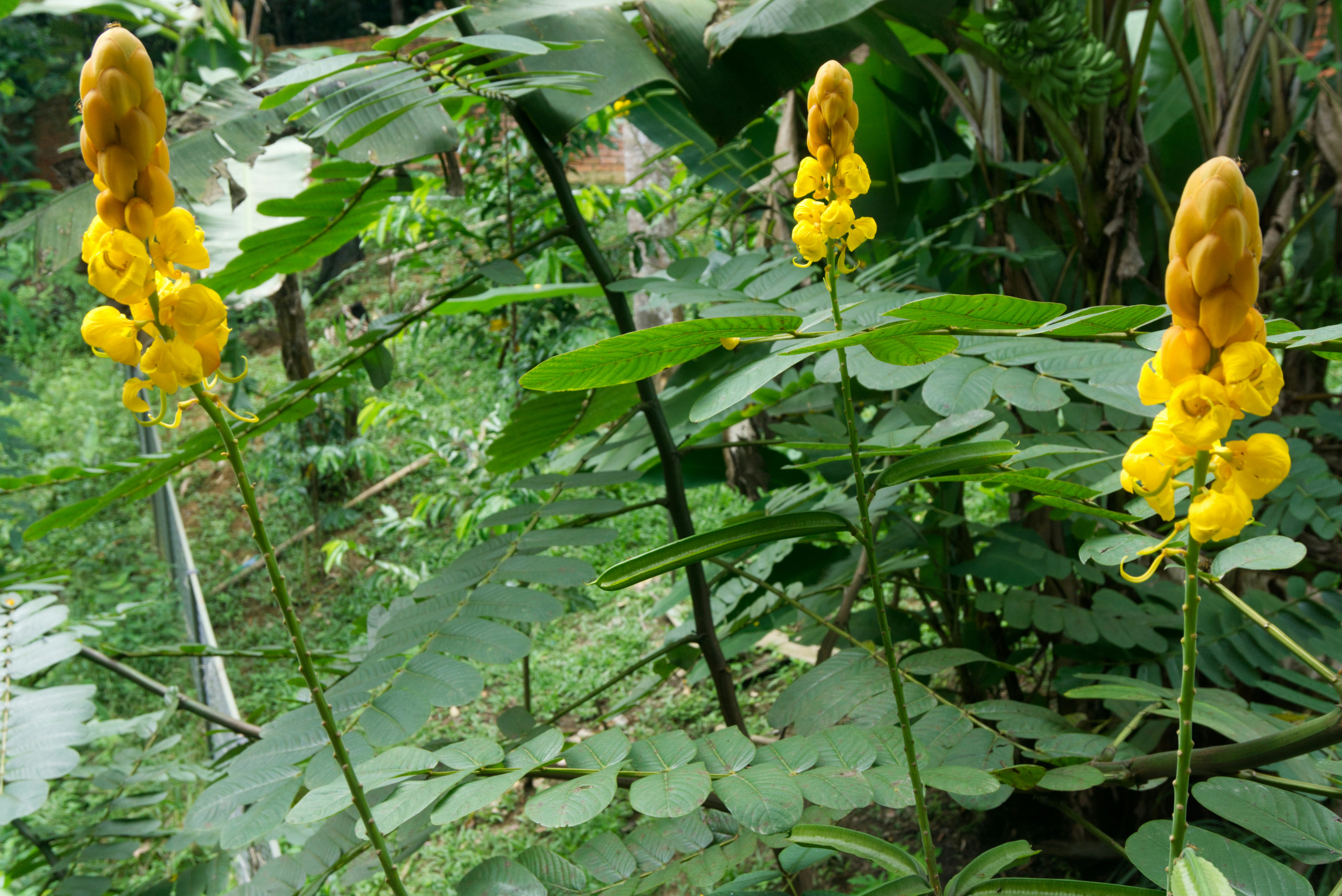 Photo by theminahdesigns