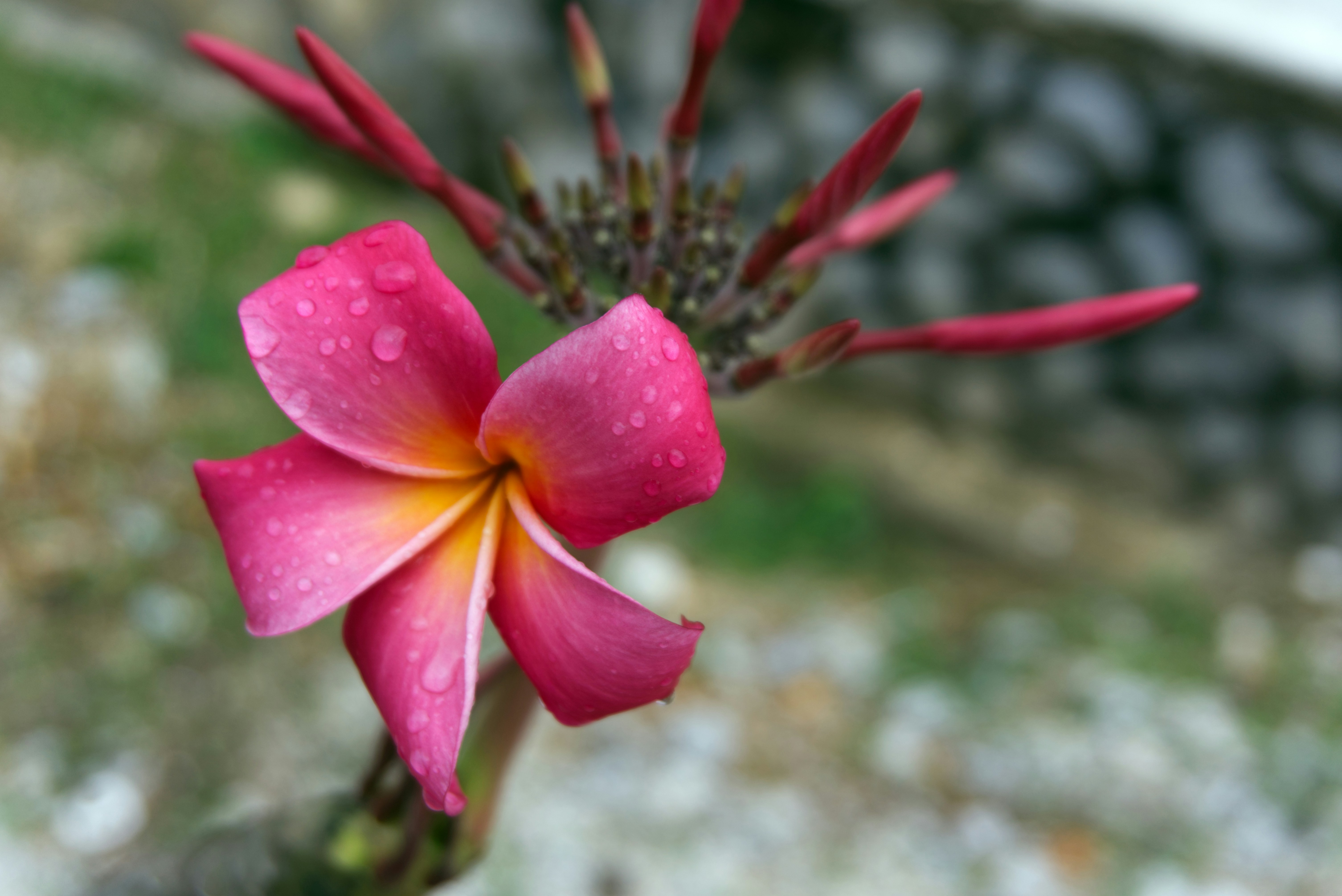 Photo by theminahdesigns