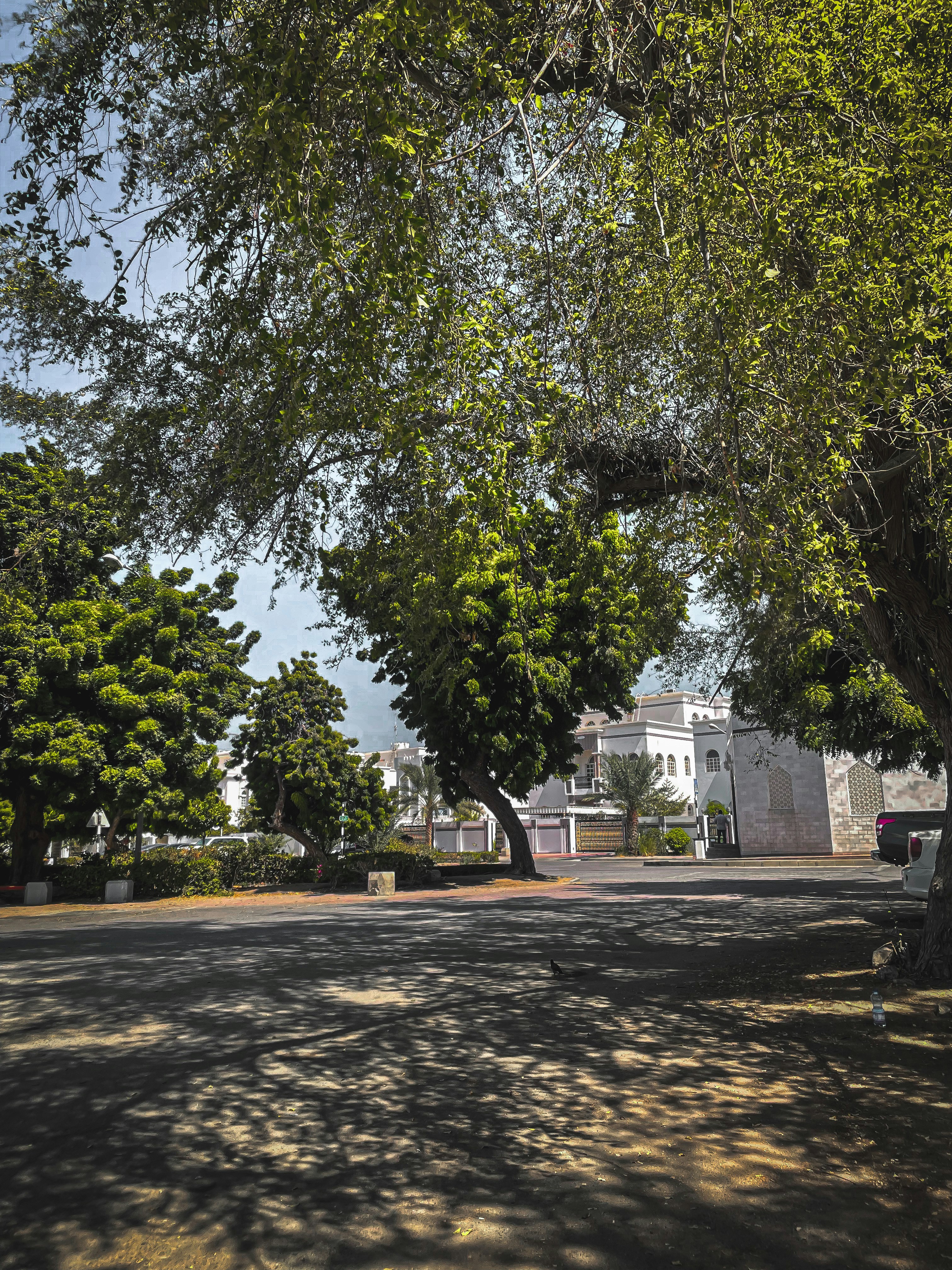 Photo by theaaashlyn