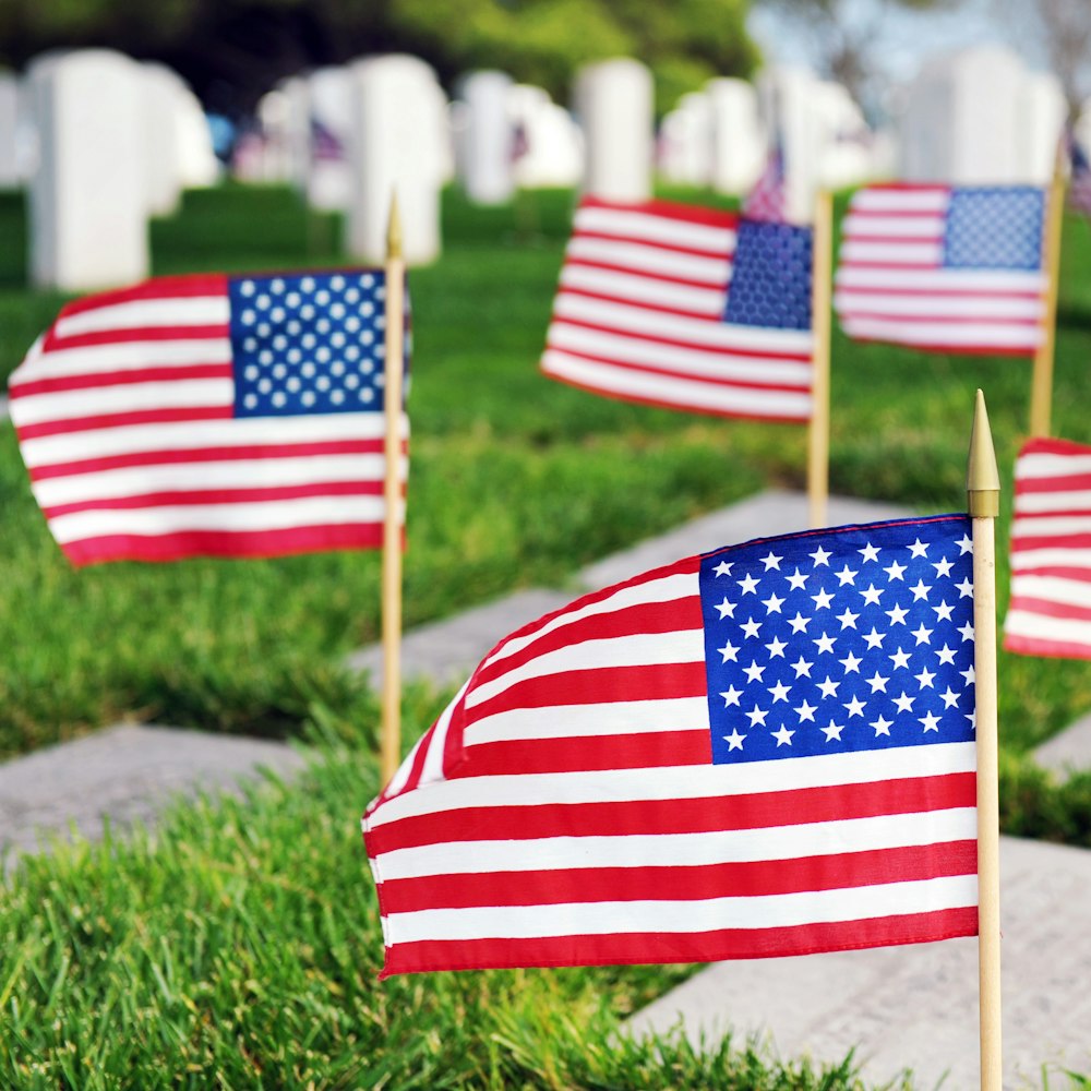 a group of american flags sitting on top of a grass covered field