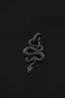 Engraved snake-themed plaque featuring detailed patterns in dark wood tone