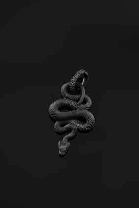 Engraved snake-themed plaque featuring detailed patterns in dark wood tone