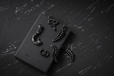 An arrangement of small, dark metallic items resembling insects and snakes lies on a textured dark green surface. The objects rest atop a closed notebook labeled 'BASIC NOTES.' The lighting is dim, casting subtle shadows and highlights on the surface and objects, creating a mysterious atmosphere.