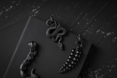 A collection of intricately designed black pendants rests on a dark surface, featuring elements like a coiled snake and segmented shapes reminiscent of marine life or plants.